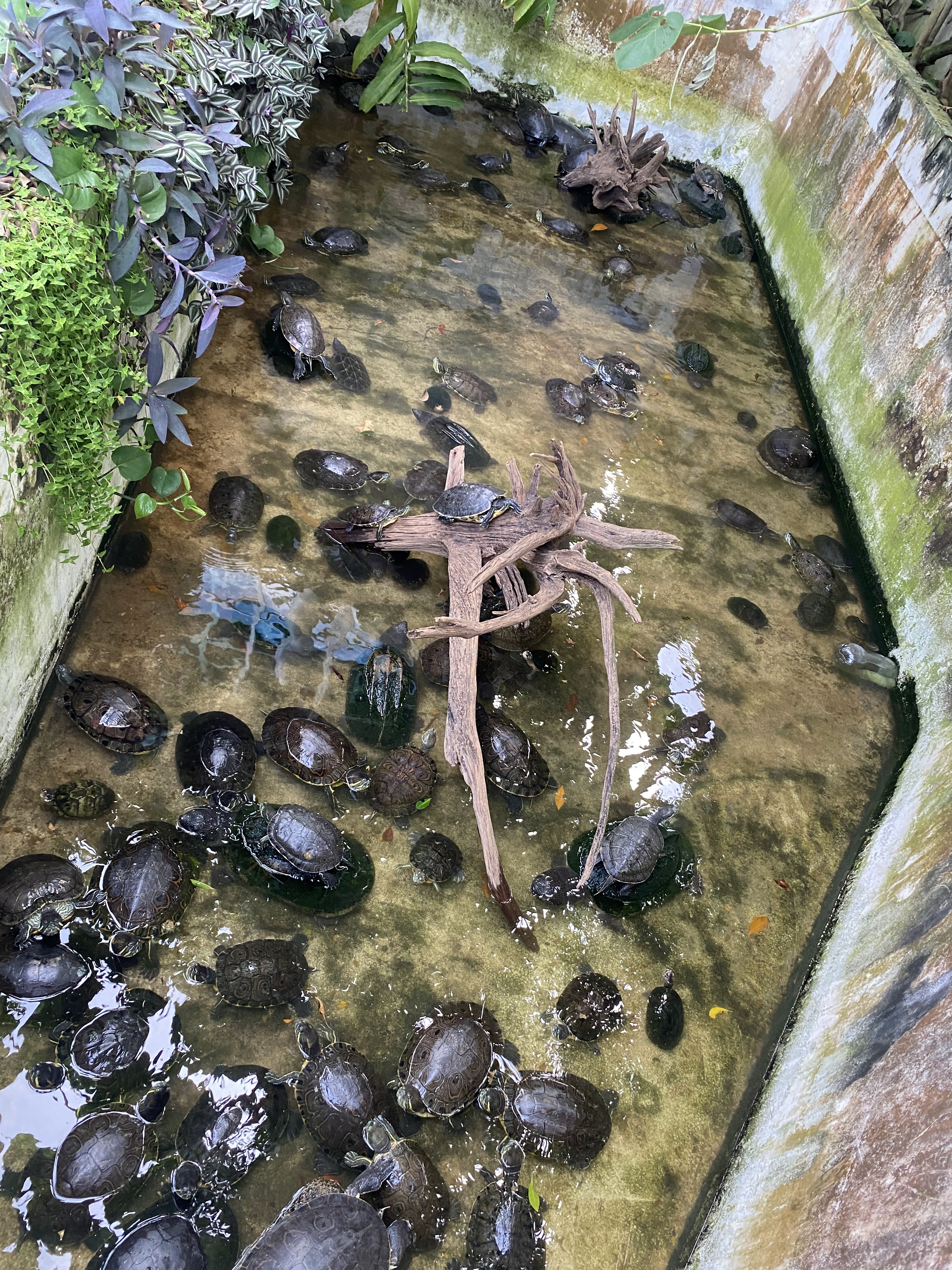 Restaurante Interactivo El Acuario. image 7