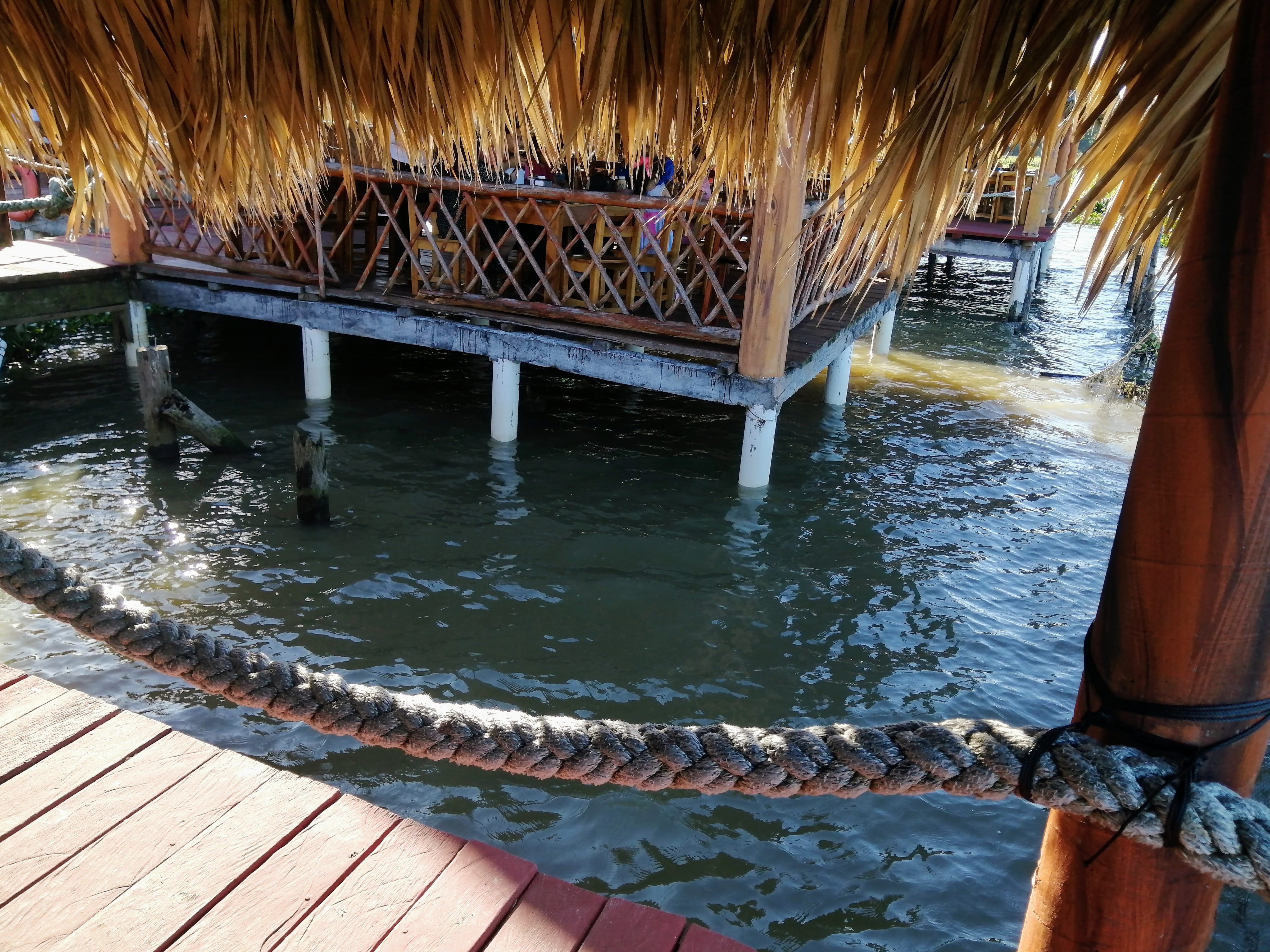 Restaurante Interactivo El Acuario. image 8