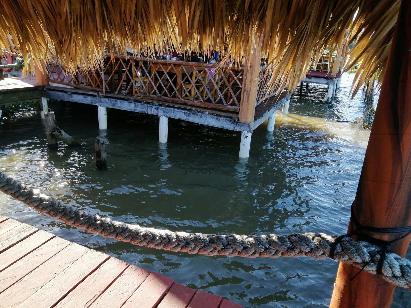 Restaurante Interactivo El Acuario. image 8