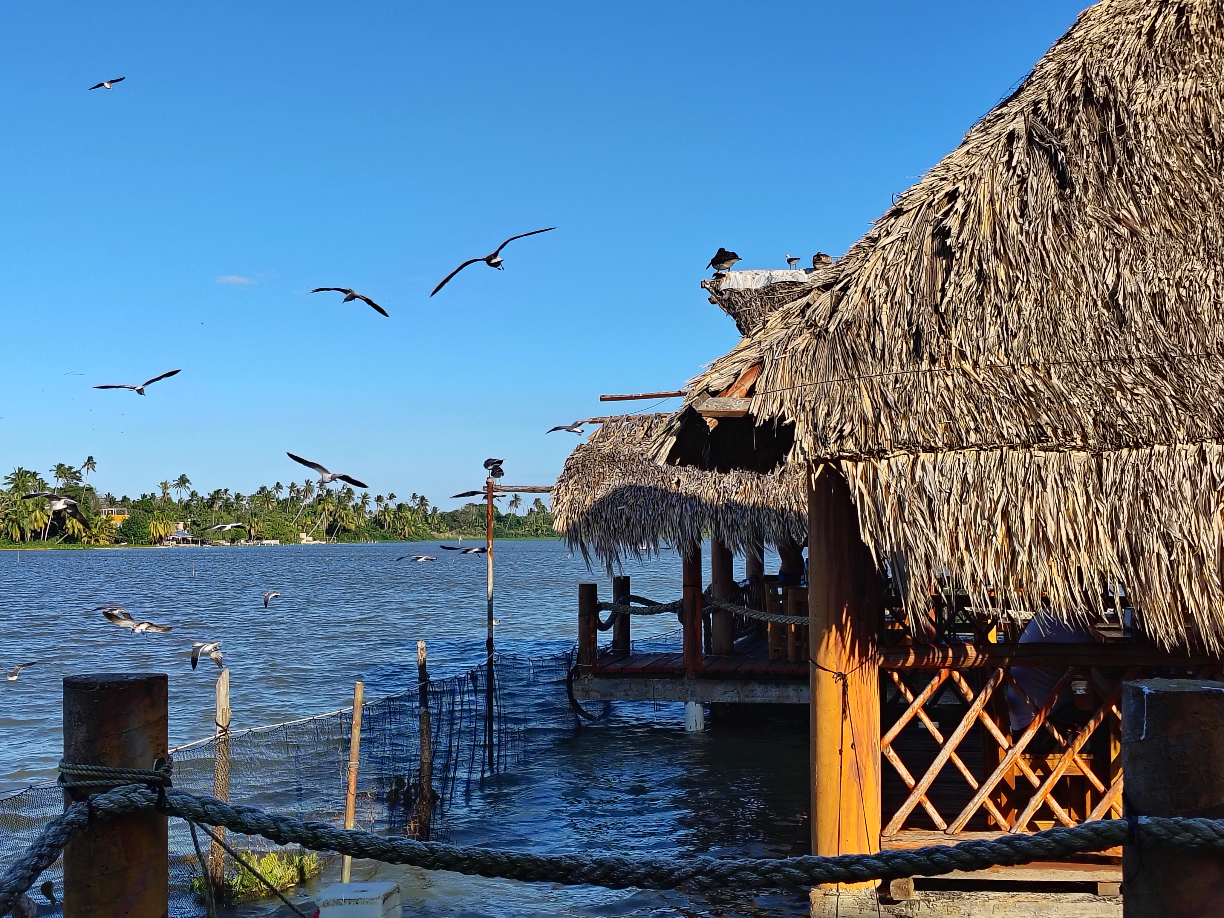 Restaurante Interactivo El Acuario. image 10