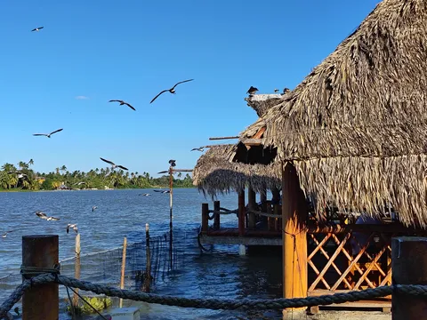 Restaurante Interactivo El Acuario. image 10