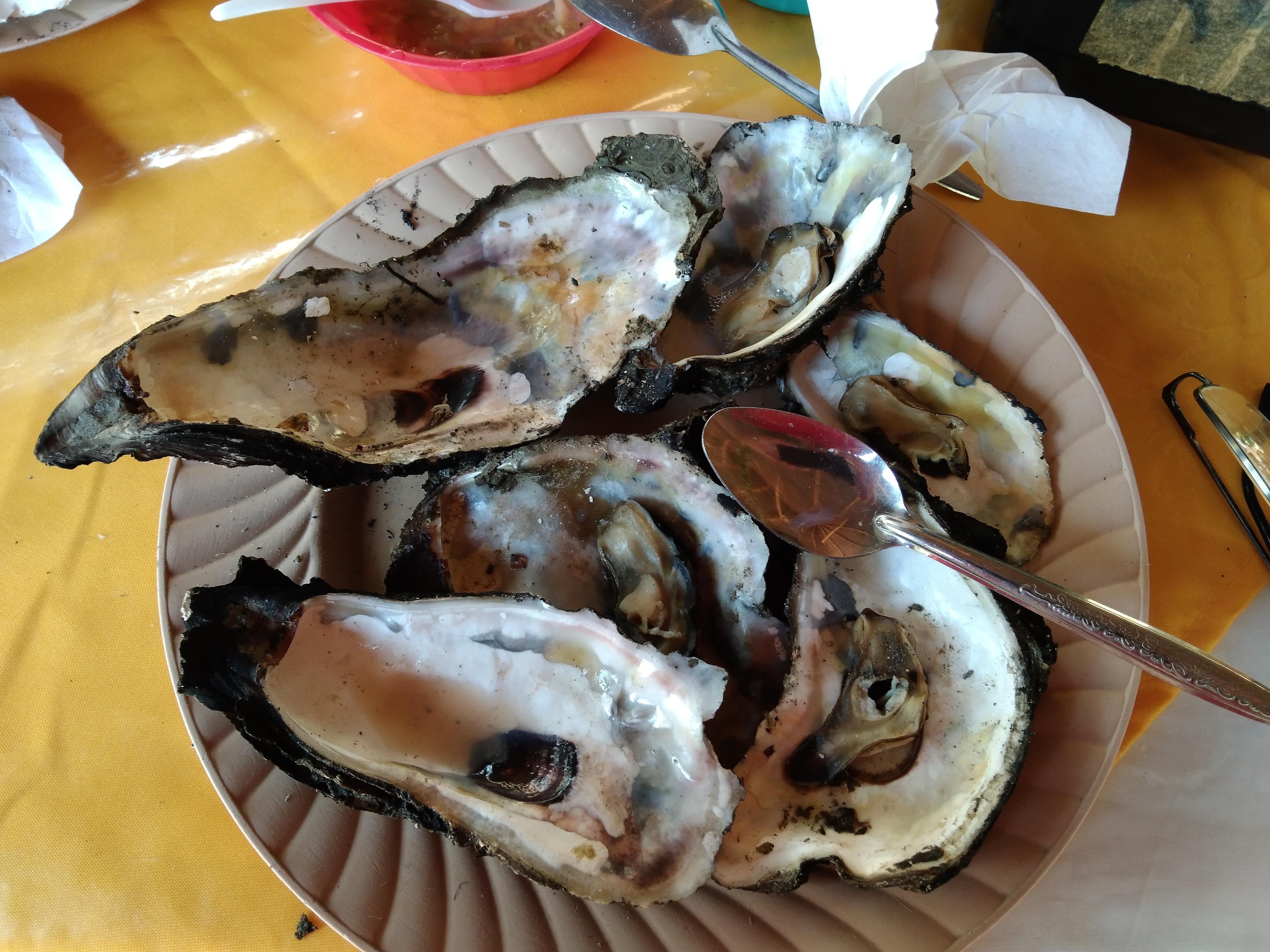 RESTAURANTE SAN JOSE image 4