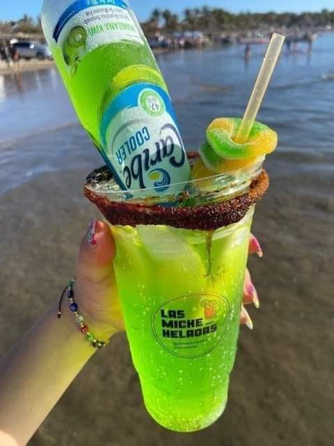 Palapa Familiar La Estancia image 6