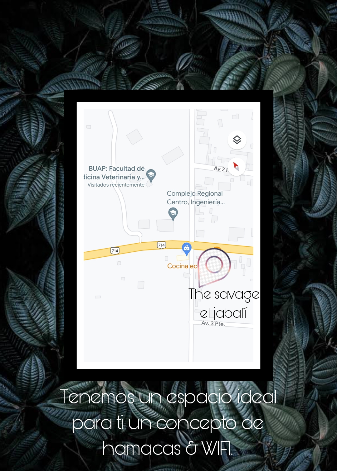 The savage el jabalí image 6