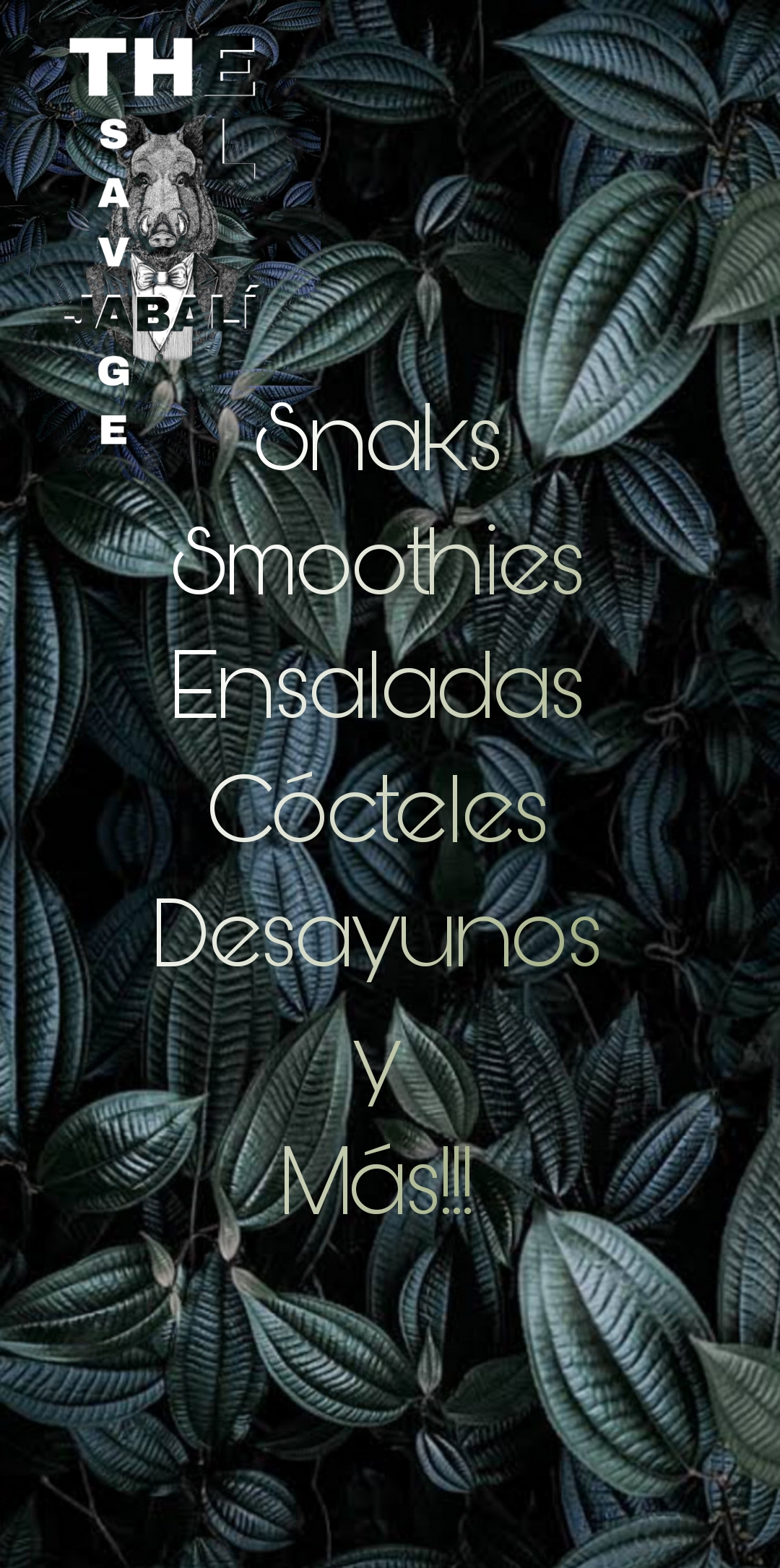 The savage el jabalí image 9