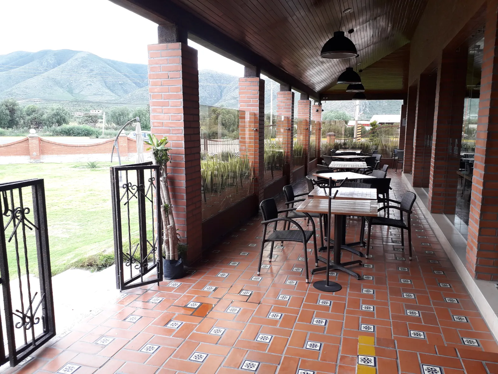 Palmas image 3
