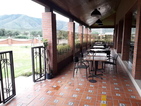 Palmas image 3