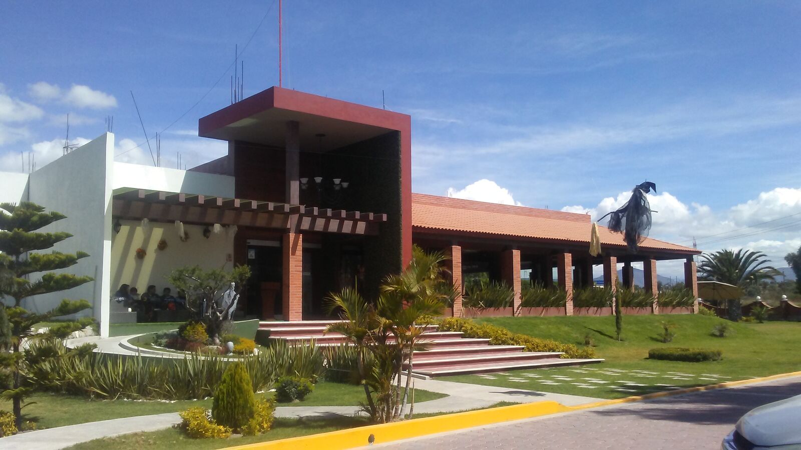 Palmas image 4
