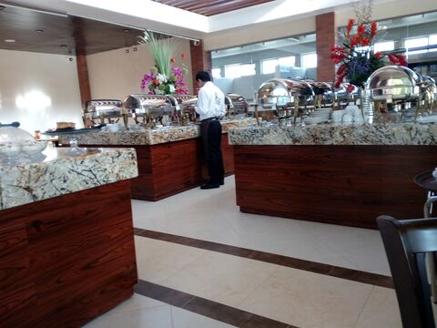 Palmas image 6