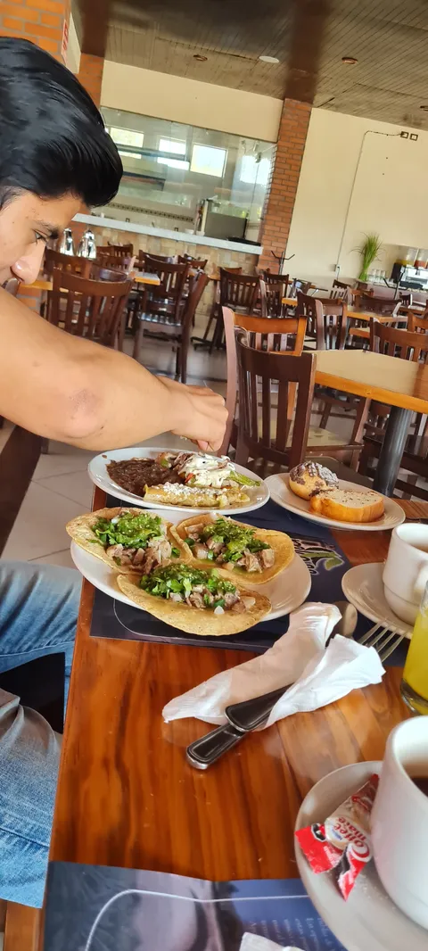 Palmas image 7