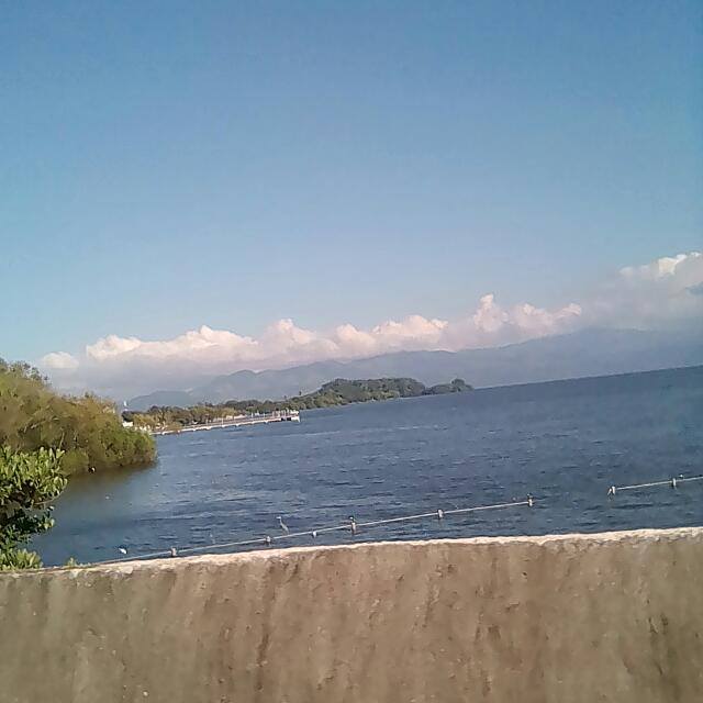 Taqueria Guadalupana image 1