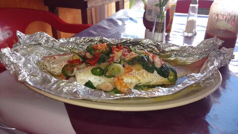 Los Delfines Restaurate image 2