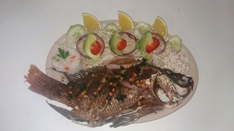 Los Delfines Restaurate image 6