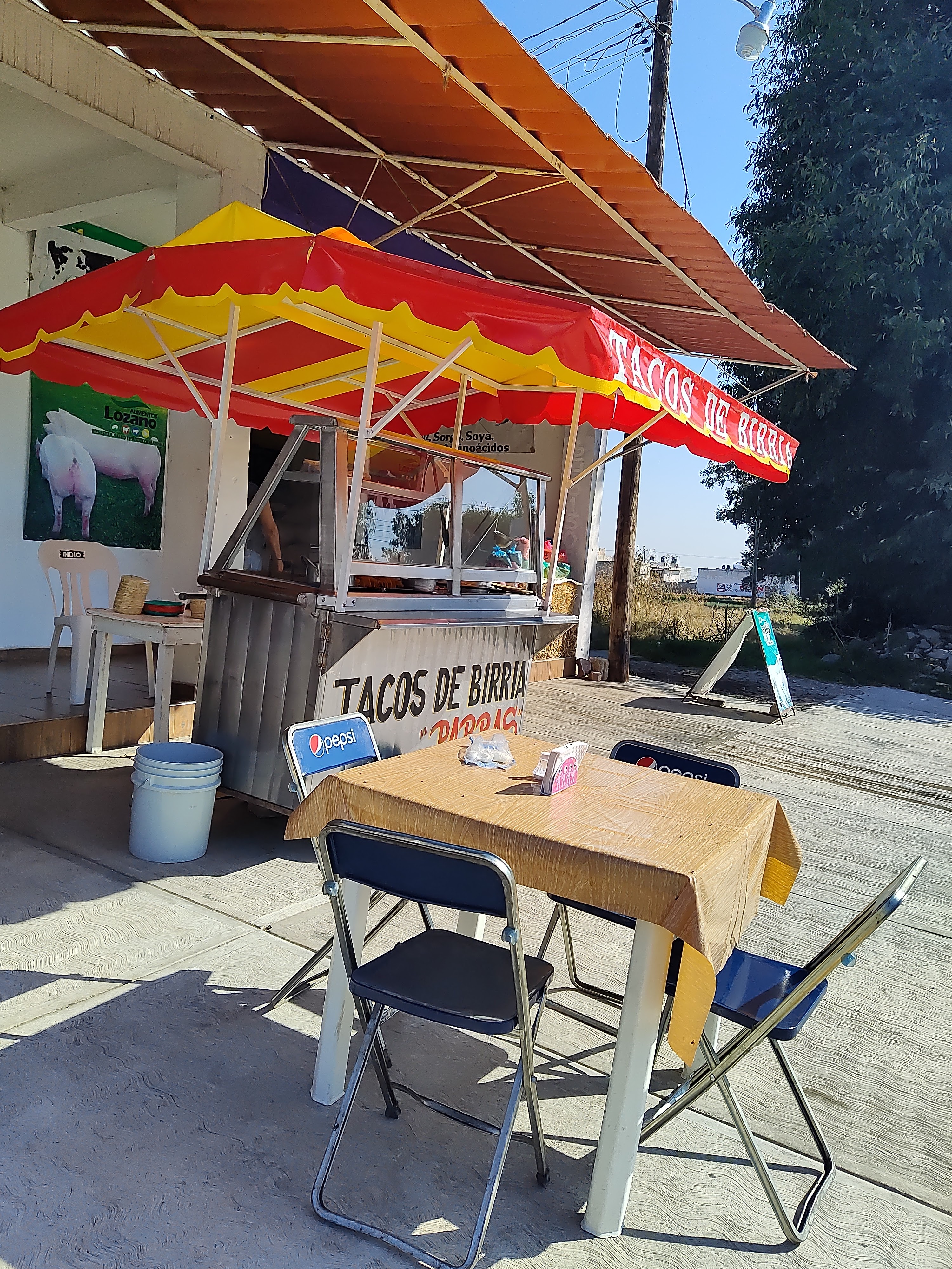 Tacos De Birria Parras image 1