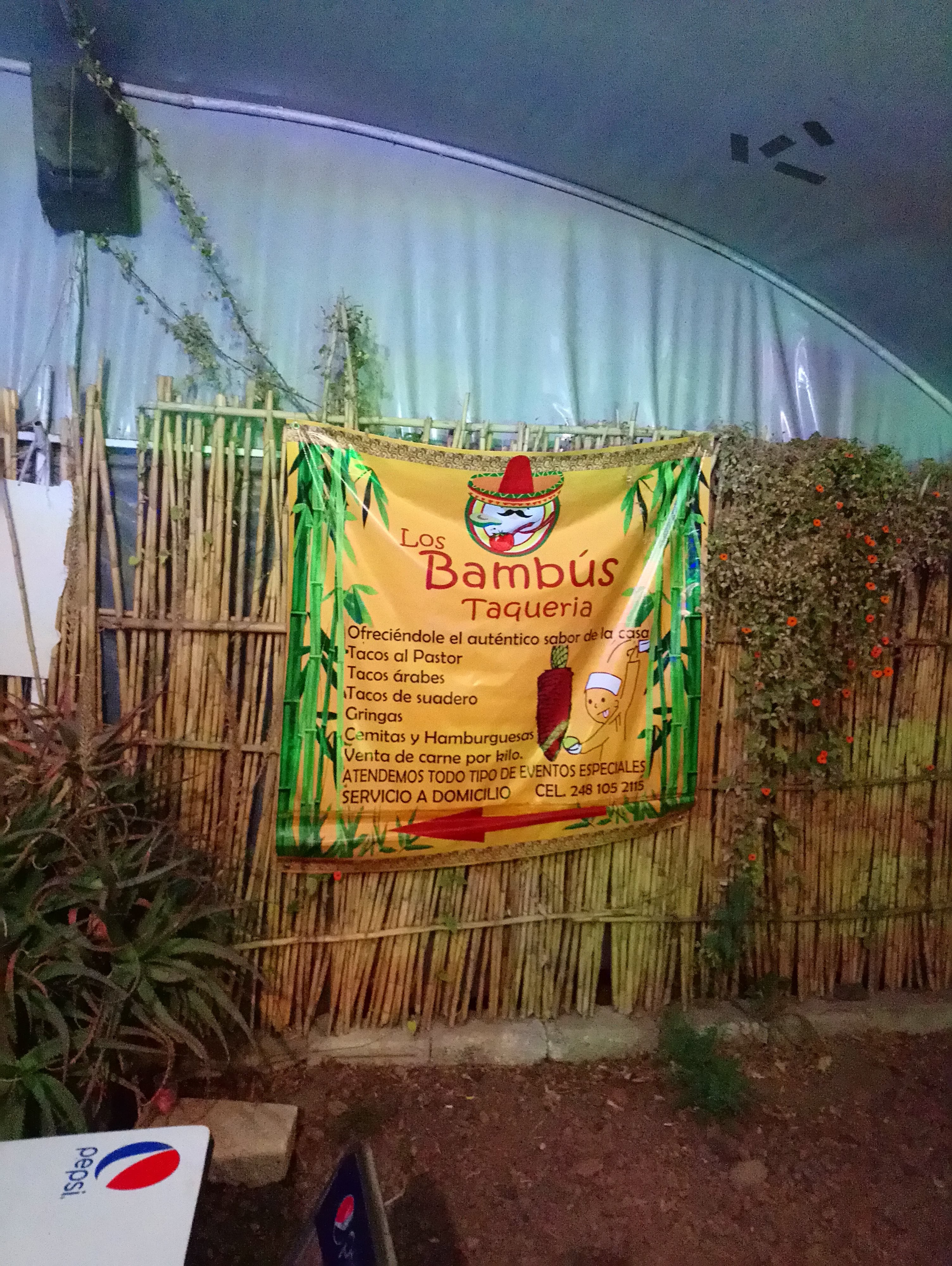 Los Bambús Taqueria image 2
