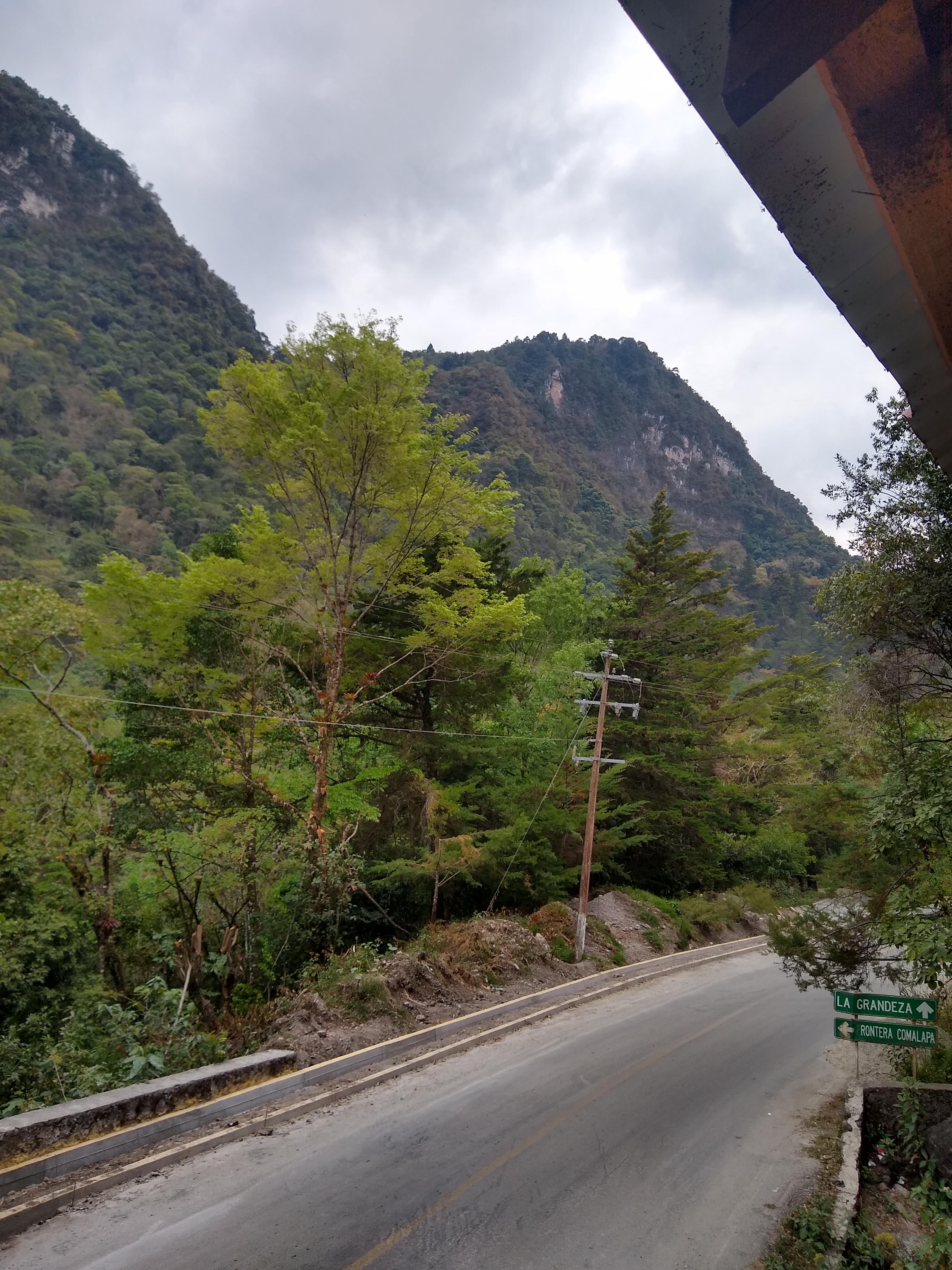 RESTAURANTE FAMILIAR "LA PALAPA DE MOLINA" image 3