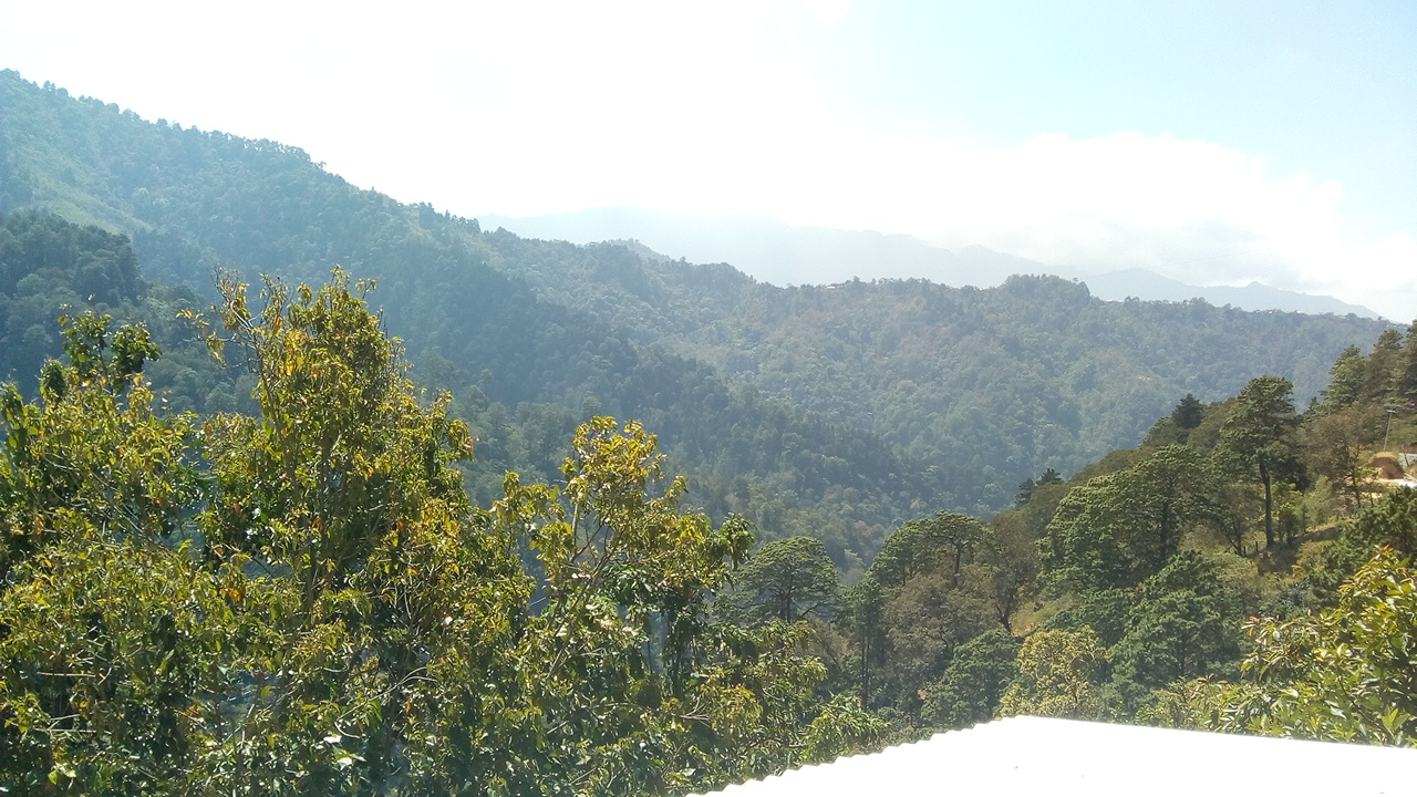 Restaurant " MARY " image 2