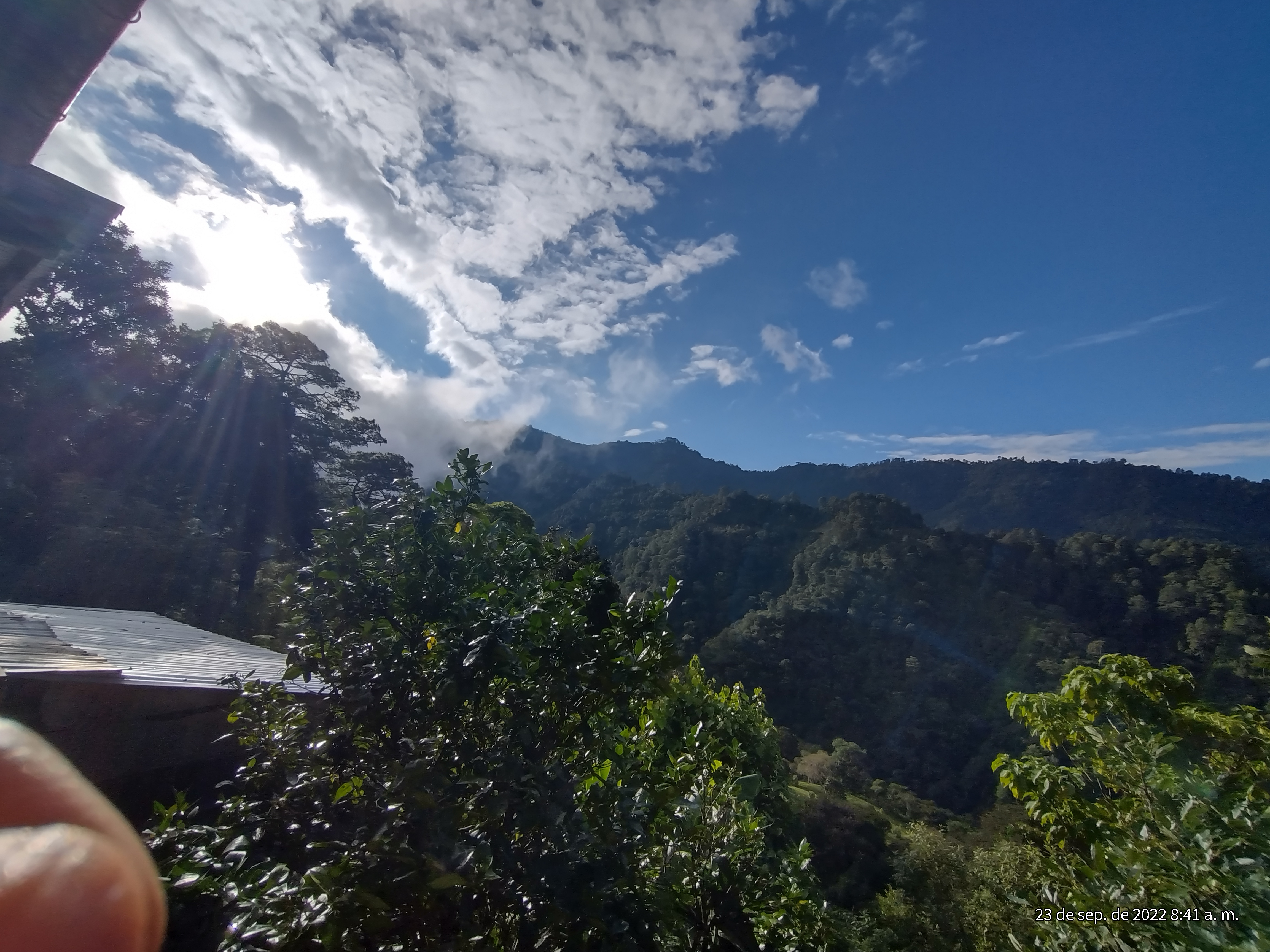 Restaurant " MARY " image 3