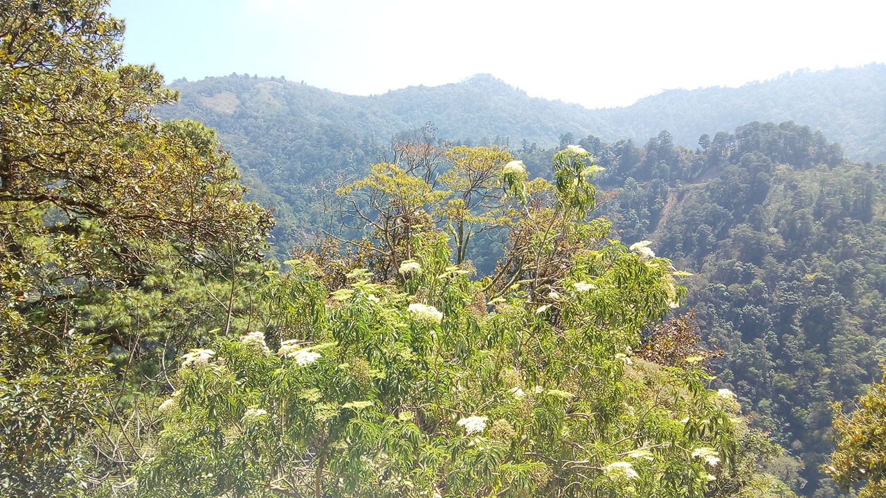 Restaurant " MARY " image 4