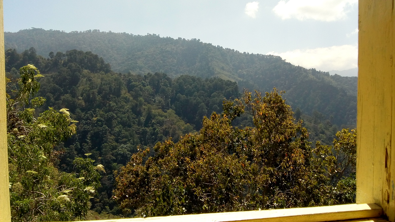 Restaurant " MARY " image 5