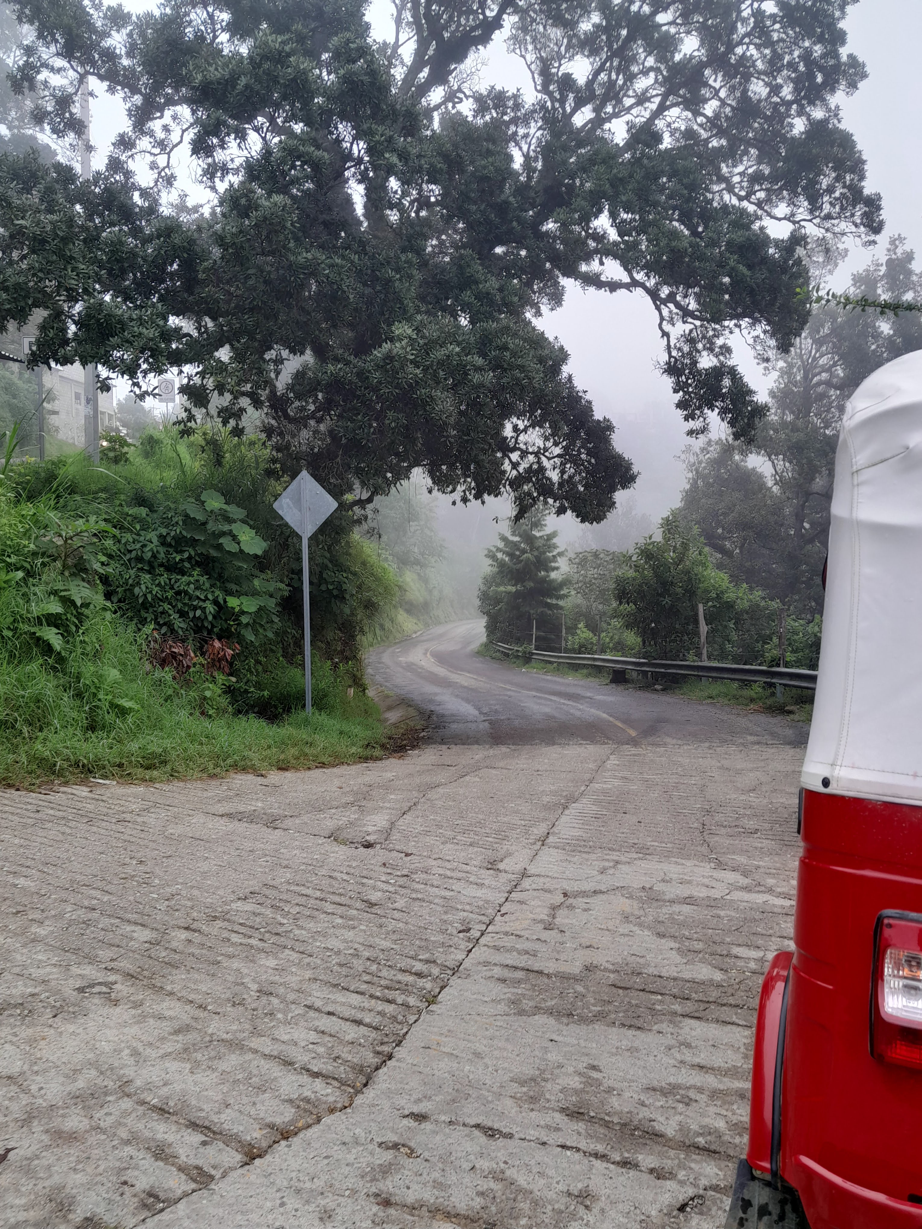 Restaurant " MARY " image 7