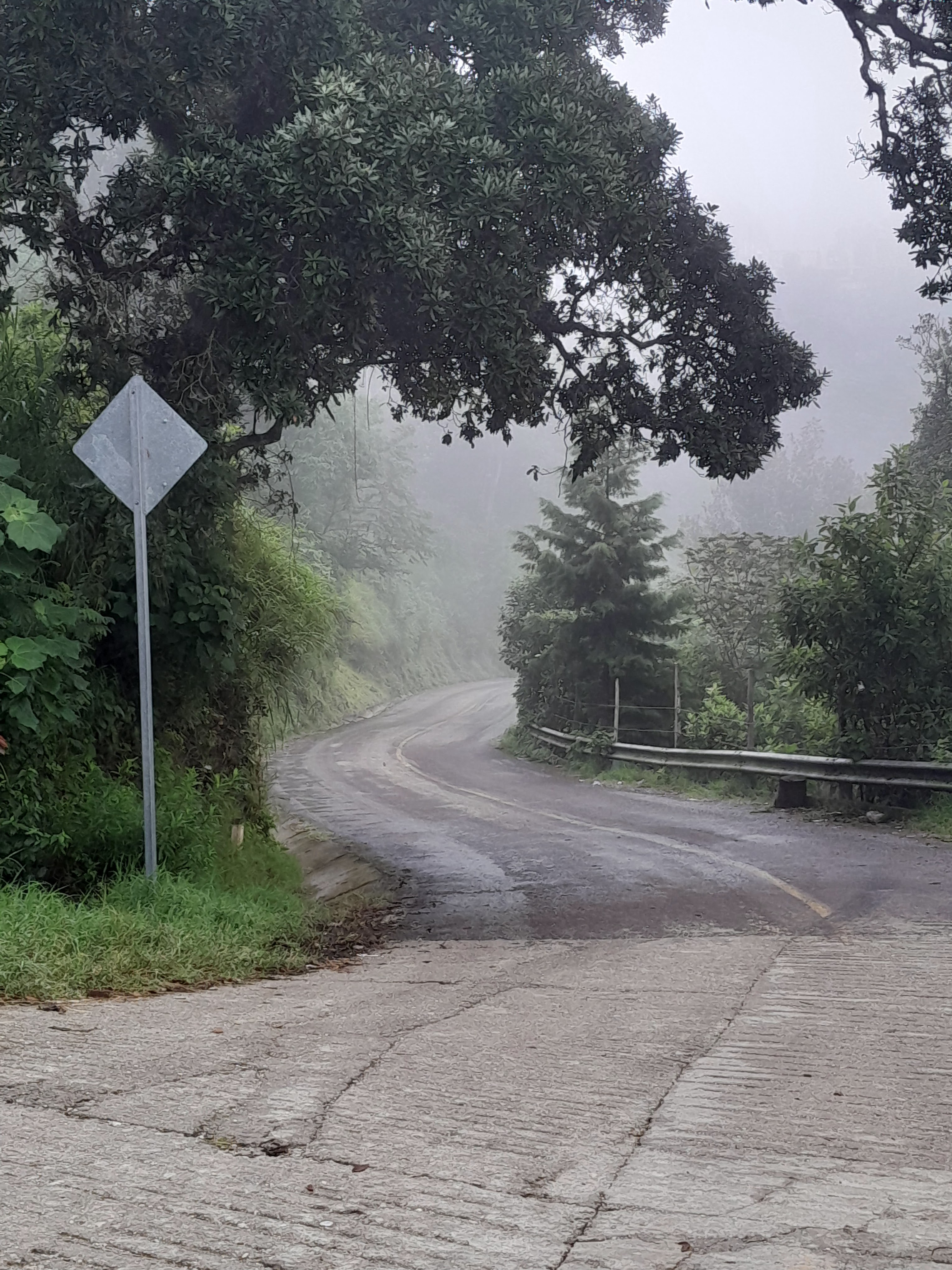 Restaurant " MARY " image 8