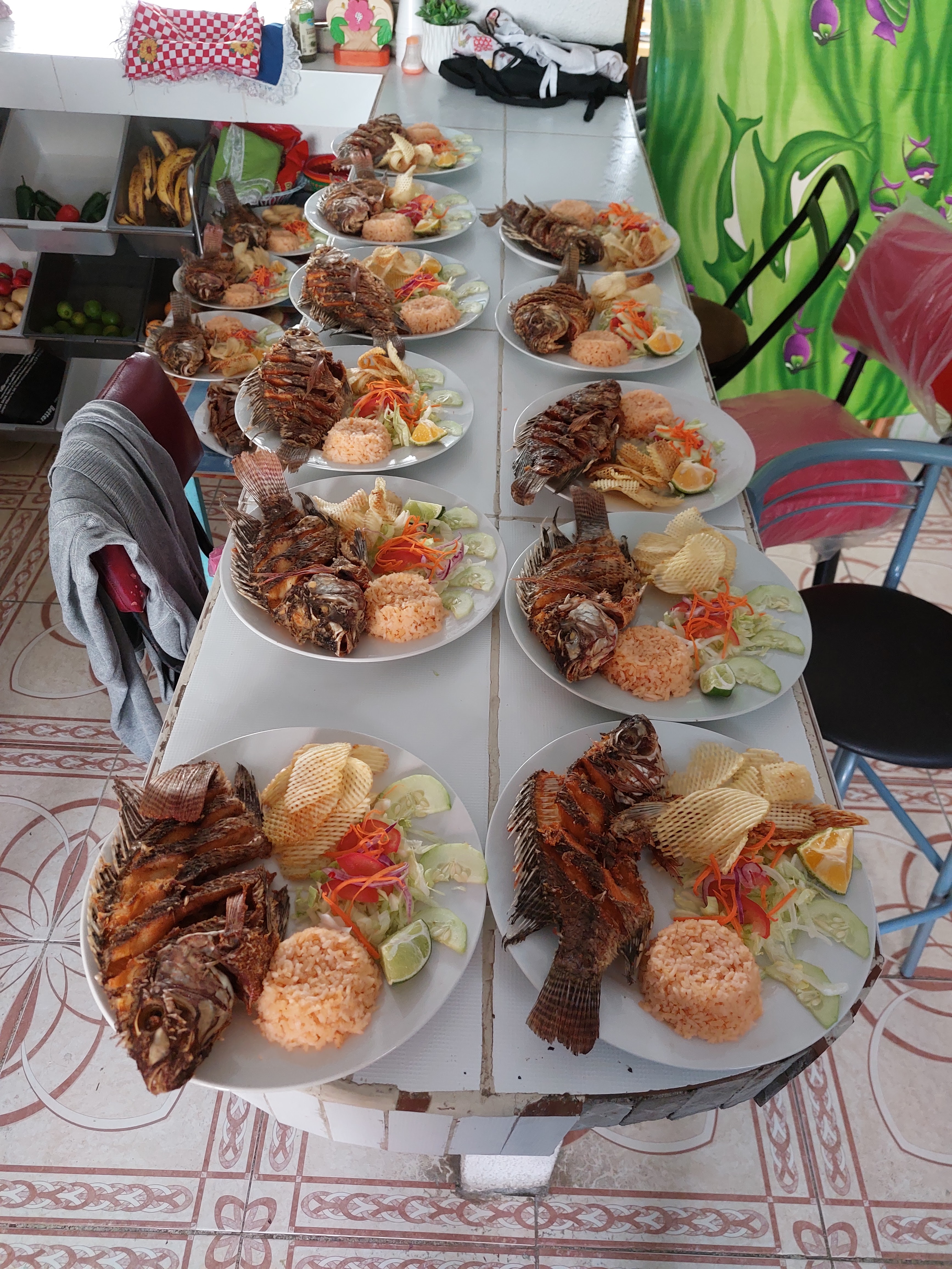 Crustaceo Cascarudo image 5