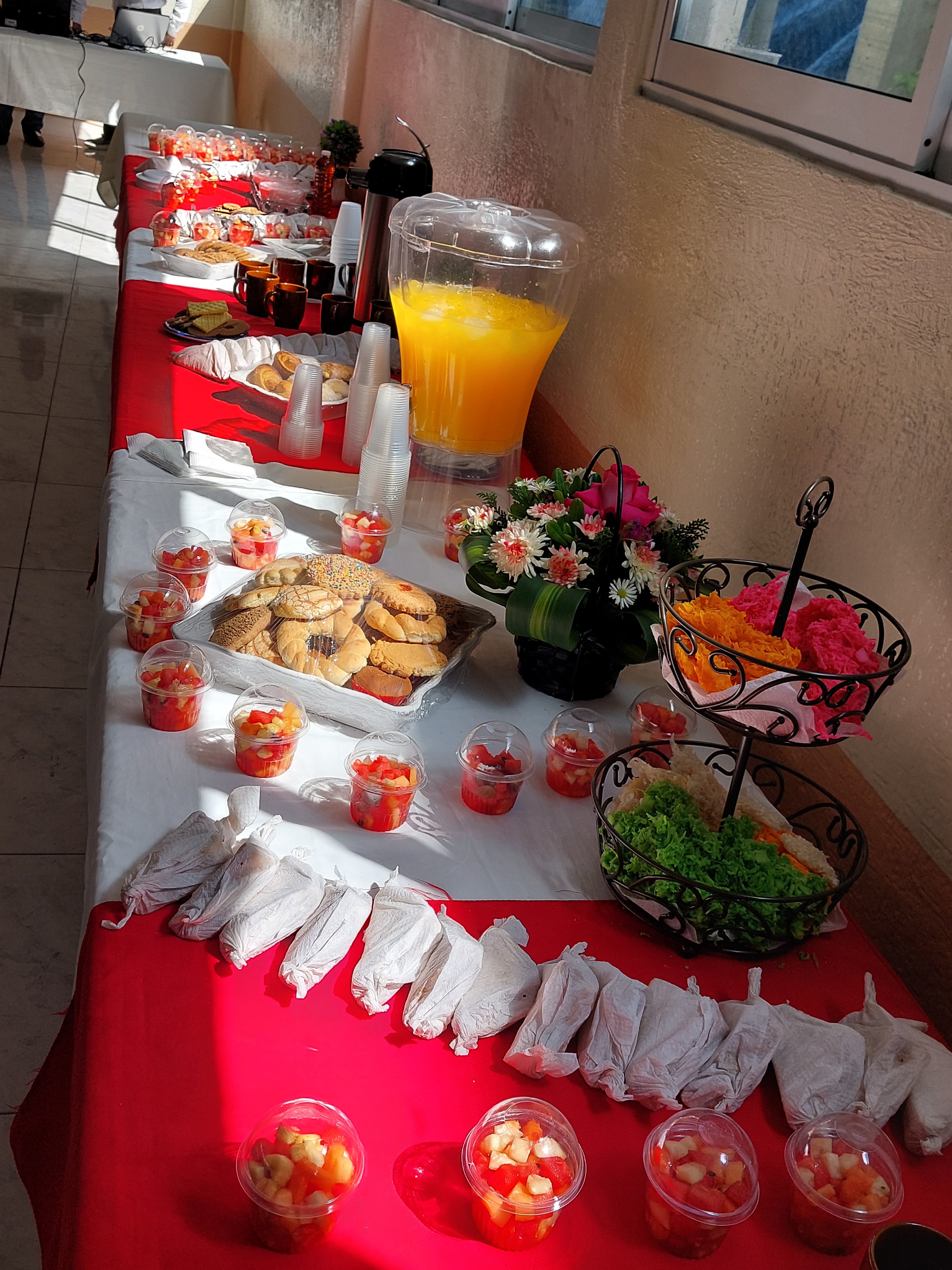 Crustaceo Cascarudo image 8