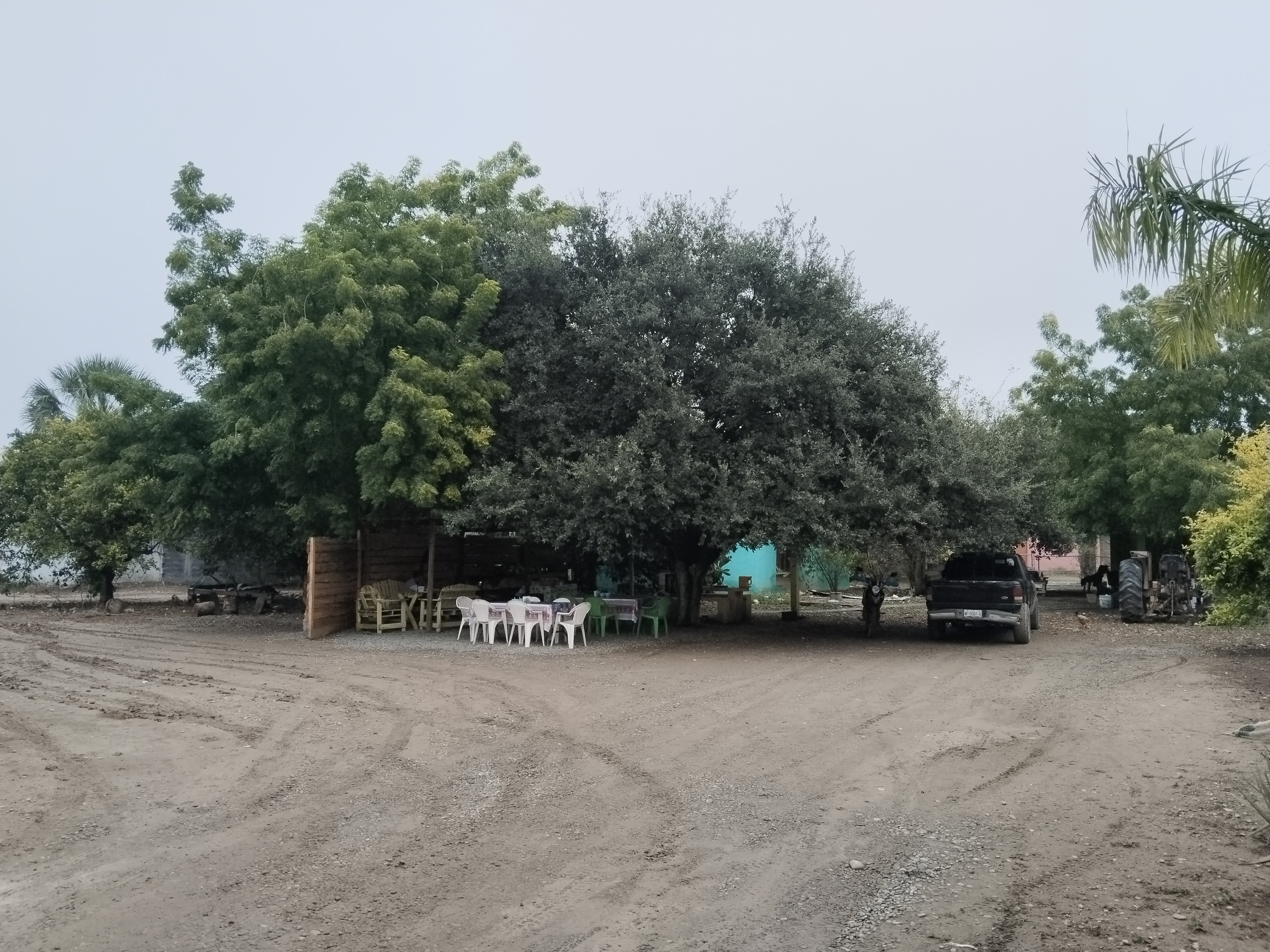 Antojitos el GÜERO image 3