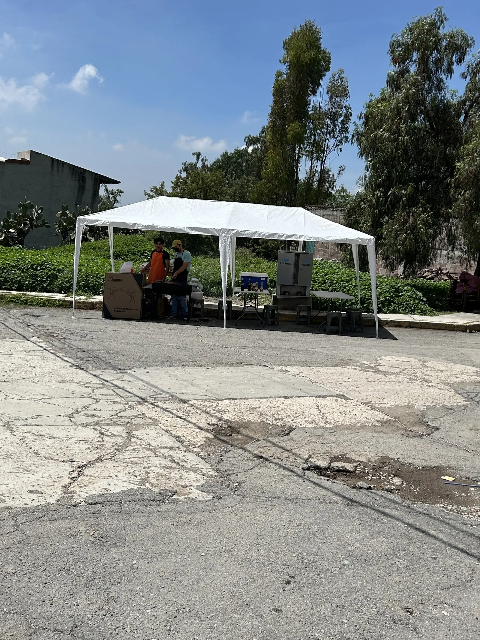 Tacos al carbón image 6