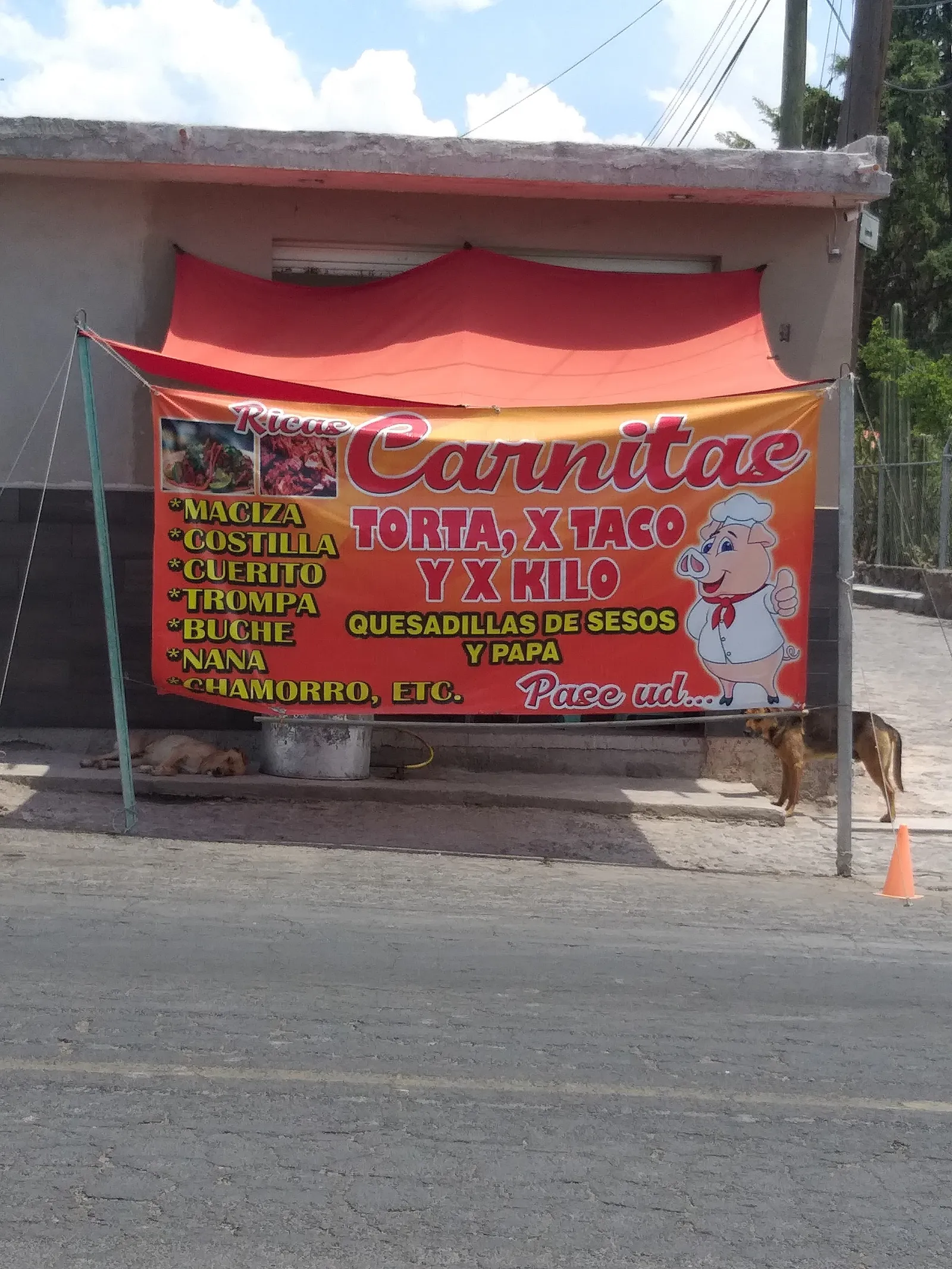 Carnitas "Los Güeros" image 2