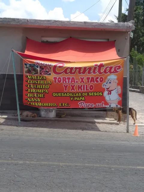 Carnitas "Los Güeros" image 2