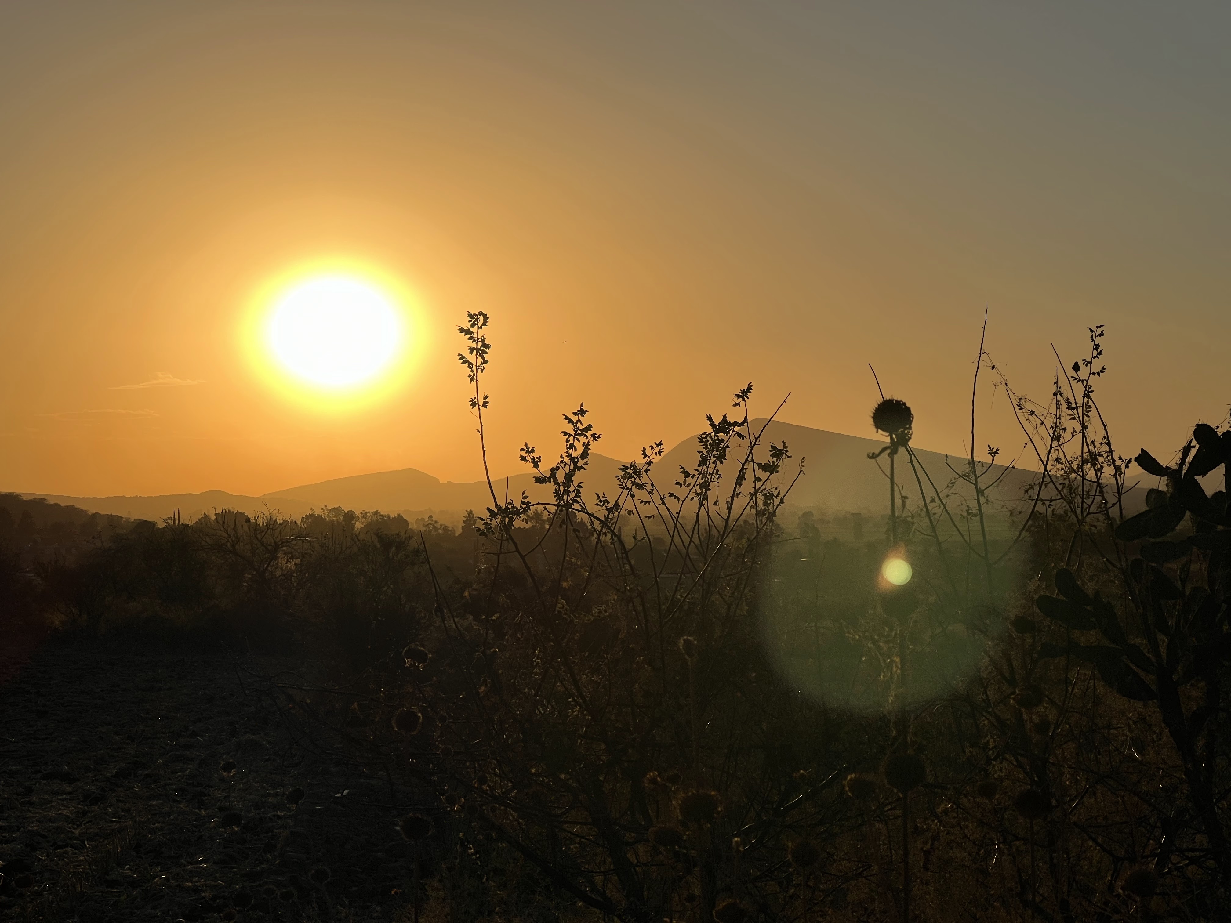 Joker Pizza Huipana image 3