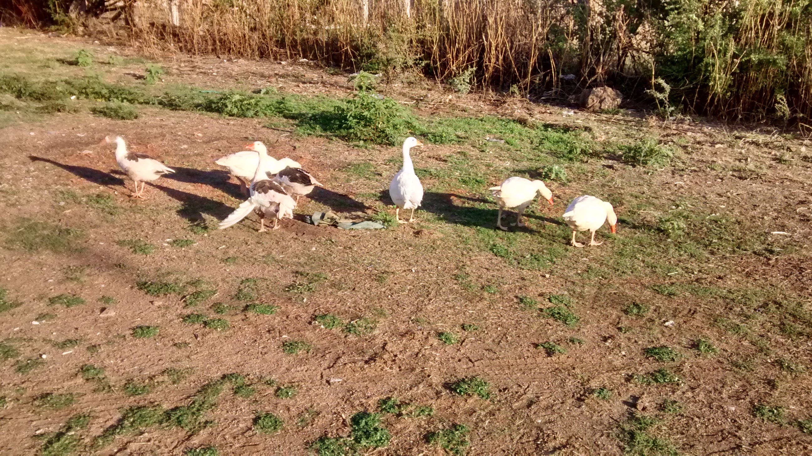 Restaurant "La Loma" image 5