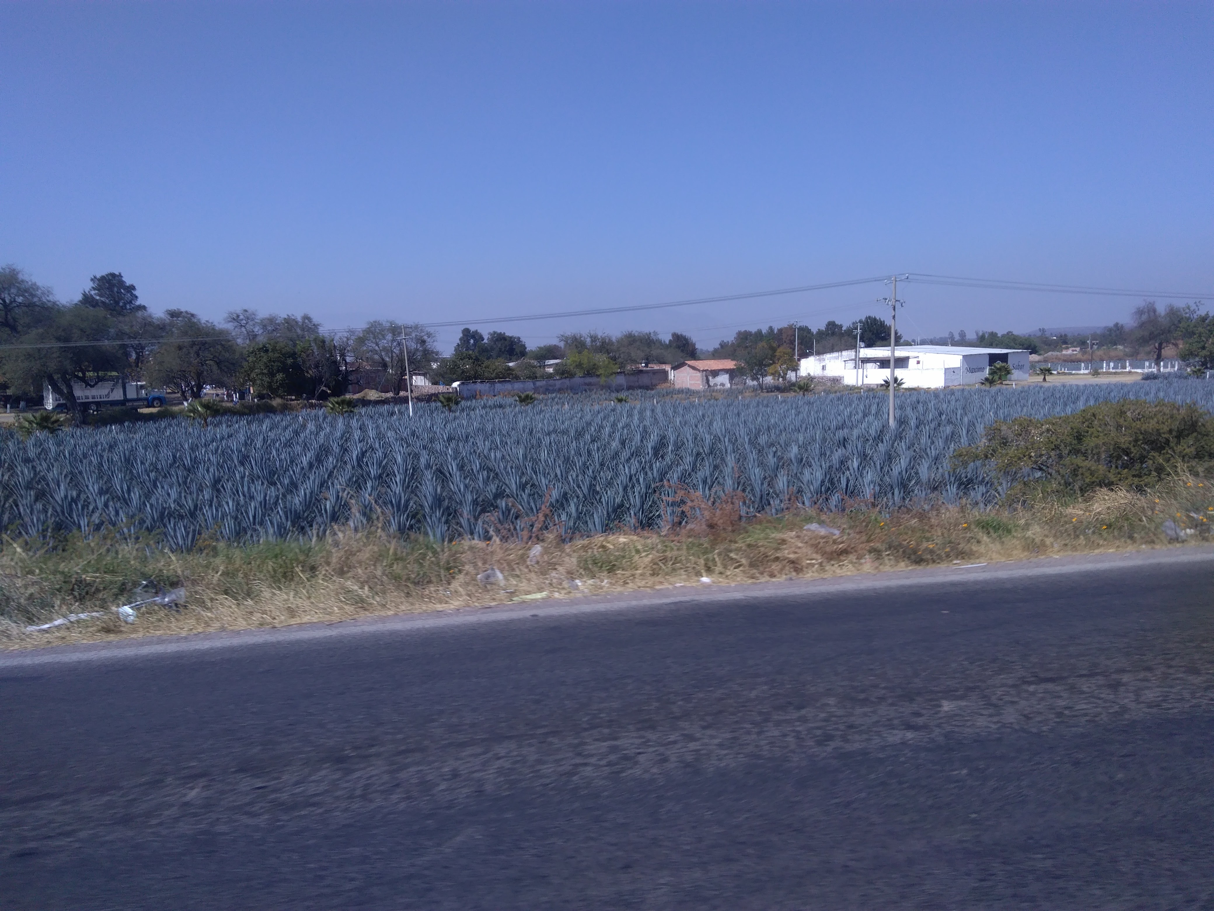 Restaurant "La Loma" image 7