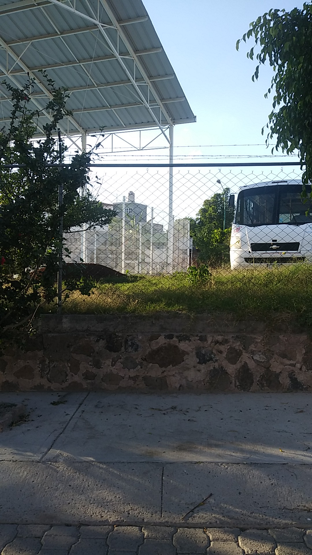 Taqueria La Casita image 5