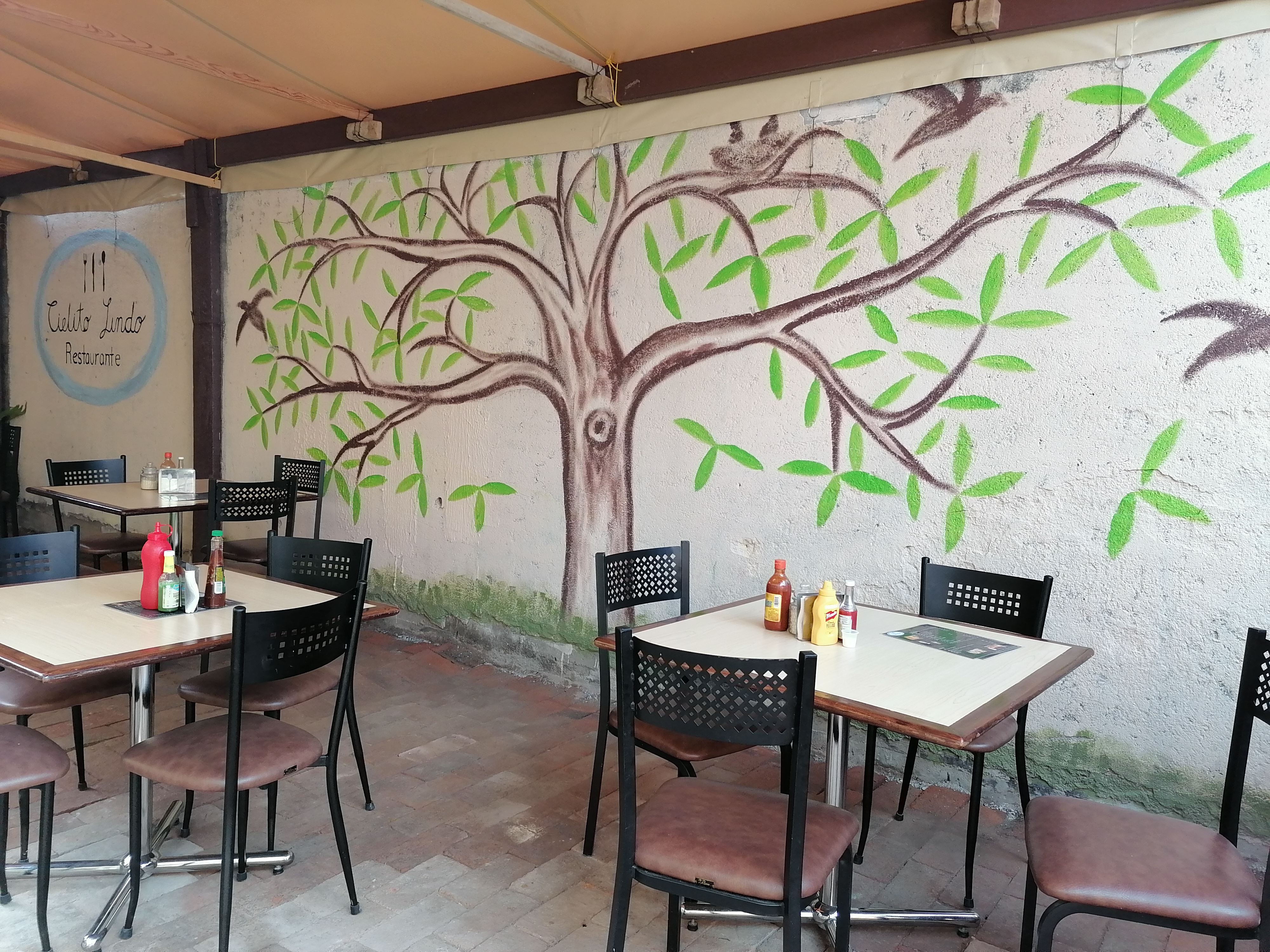 Restaurante Cielito Lindo image 7