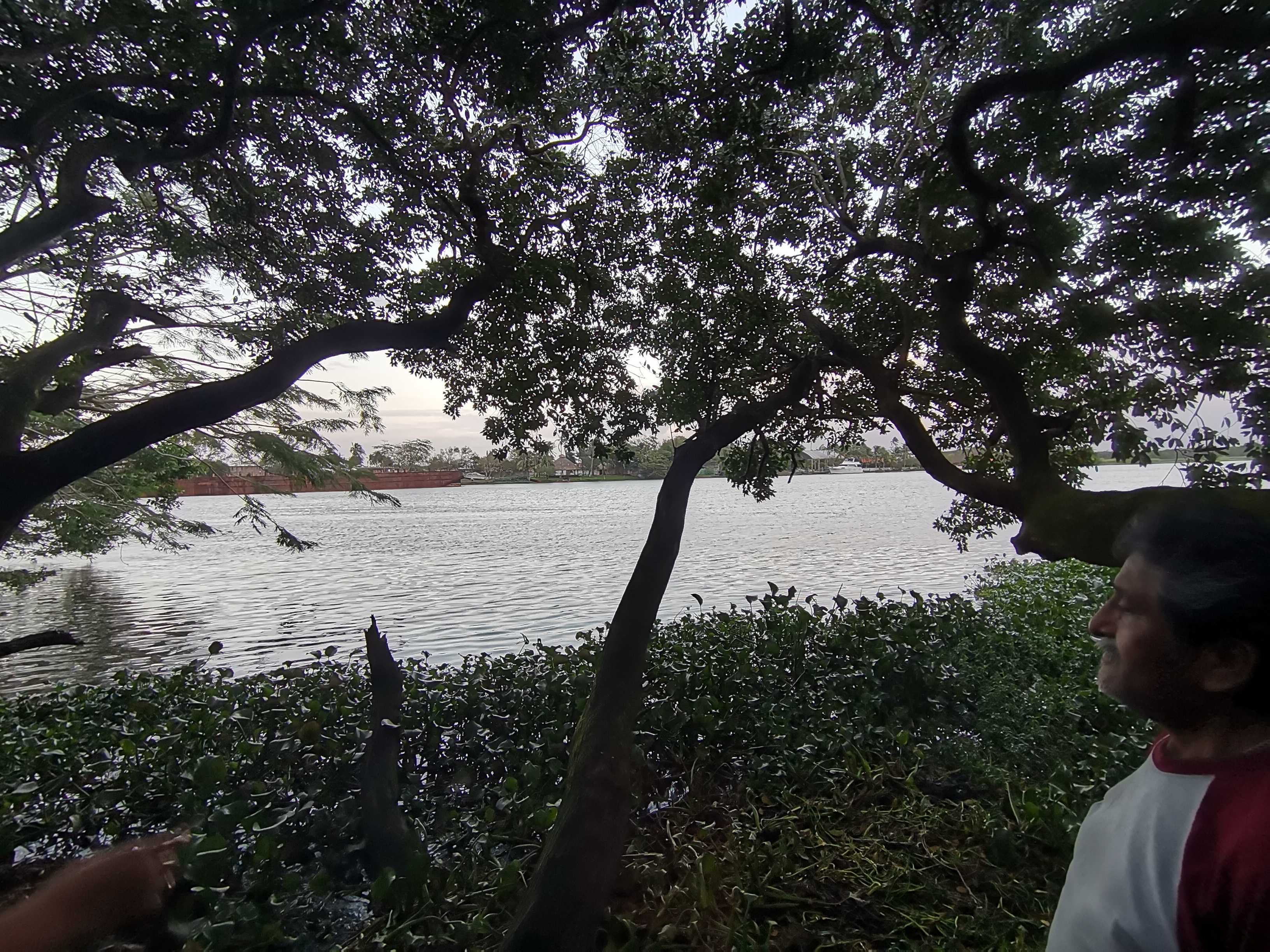 Las Brisas De Calzadas image 6