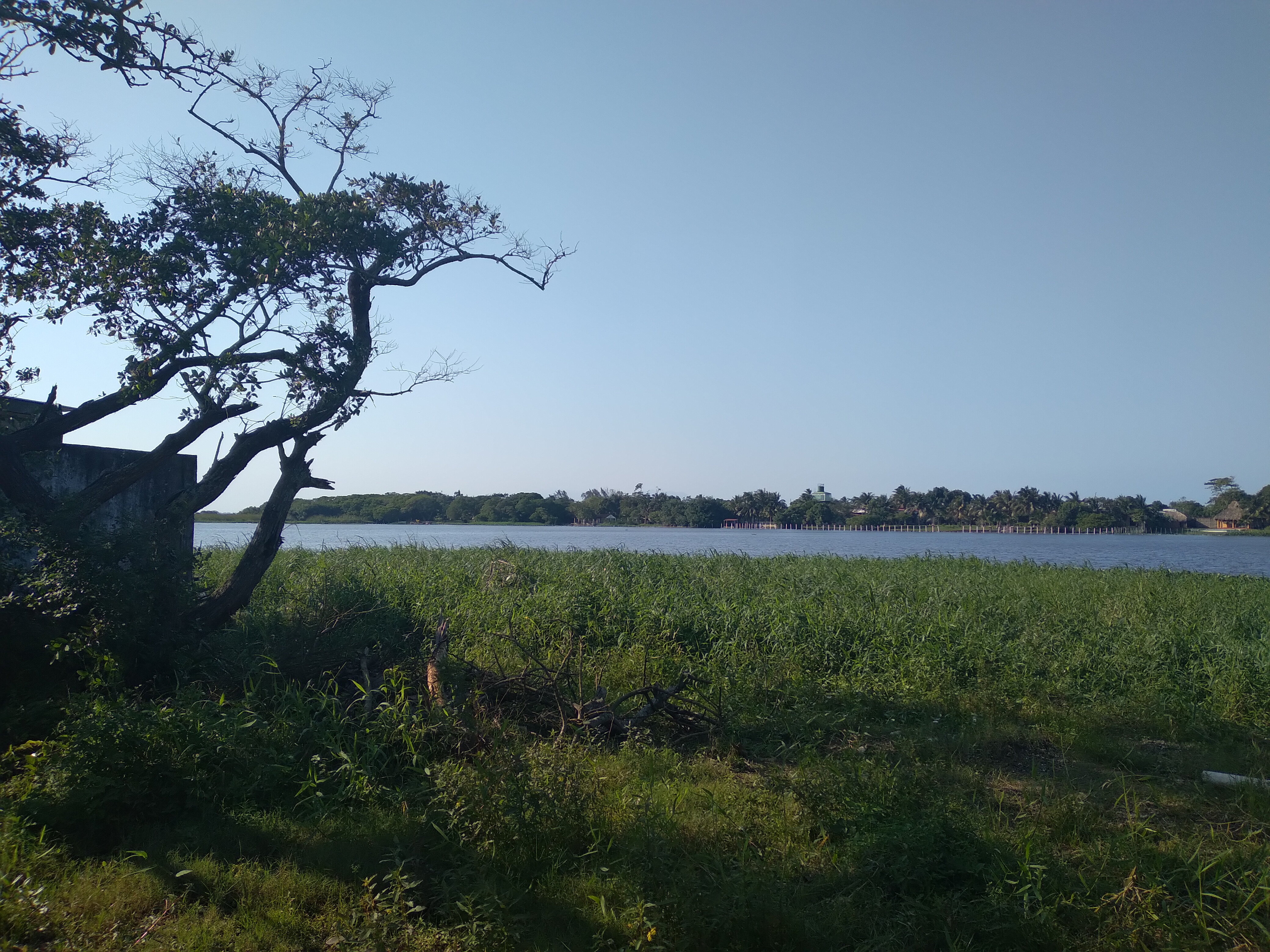 Las Mojarras image 7