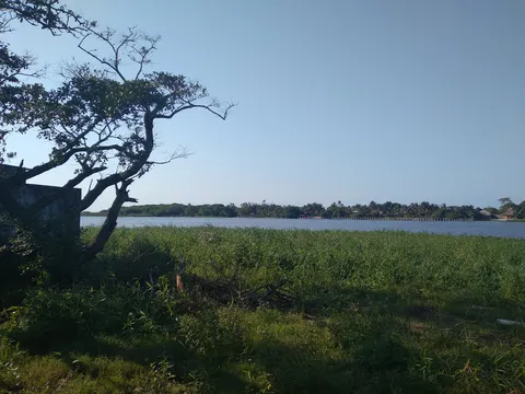 Las Mojarras image 7