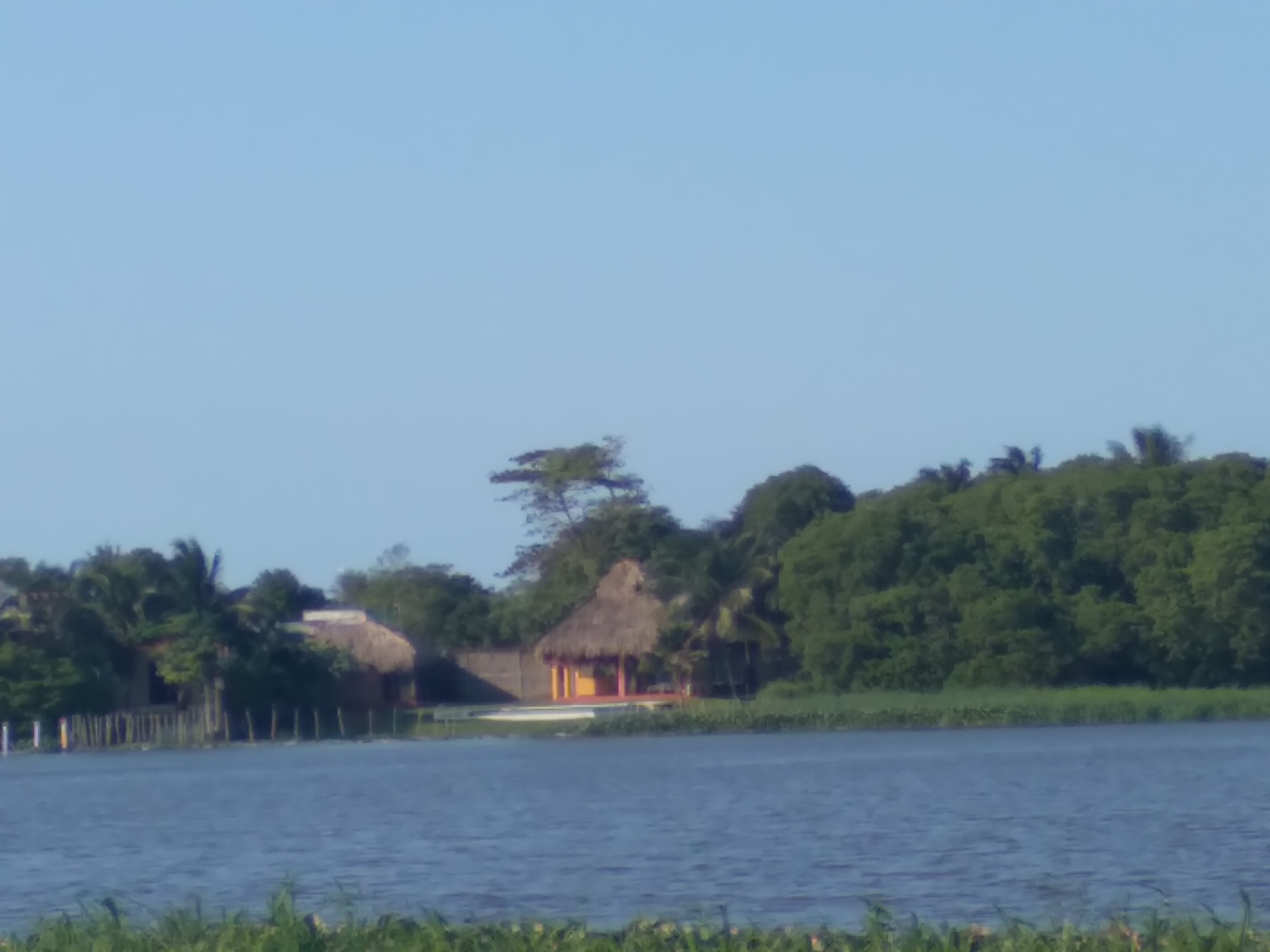 Las Mojarras image 8