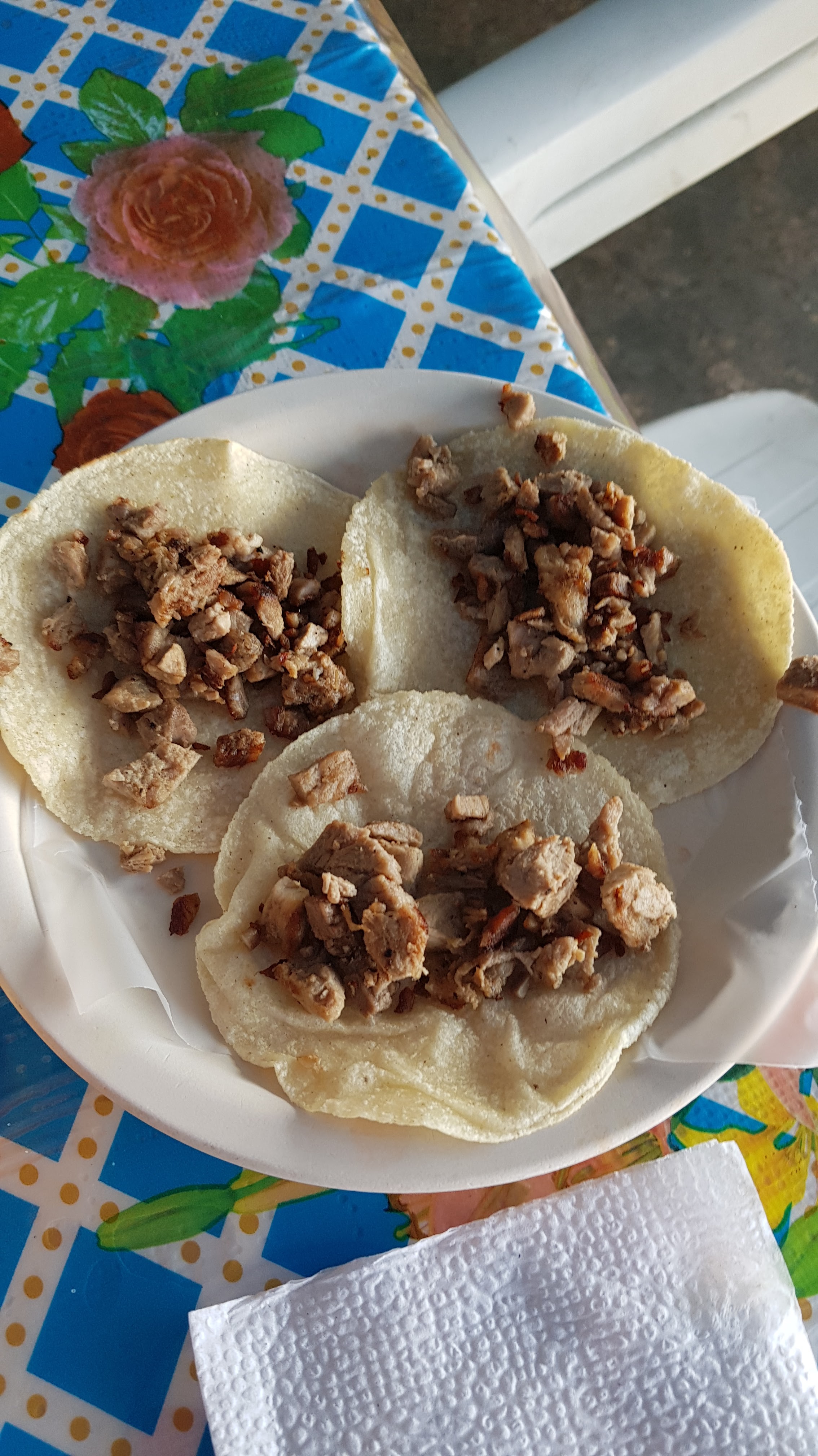 Taqueria El Piolin image 6