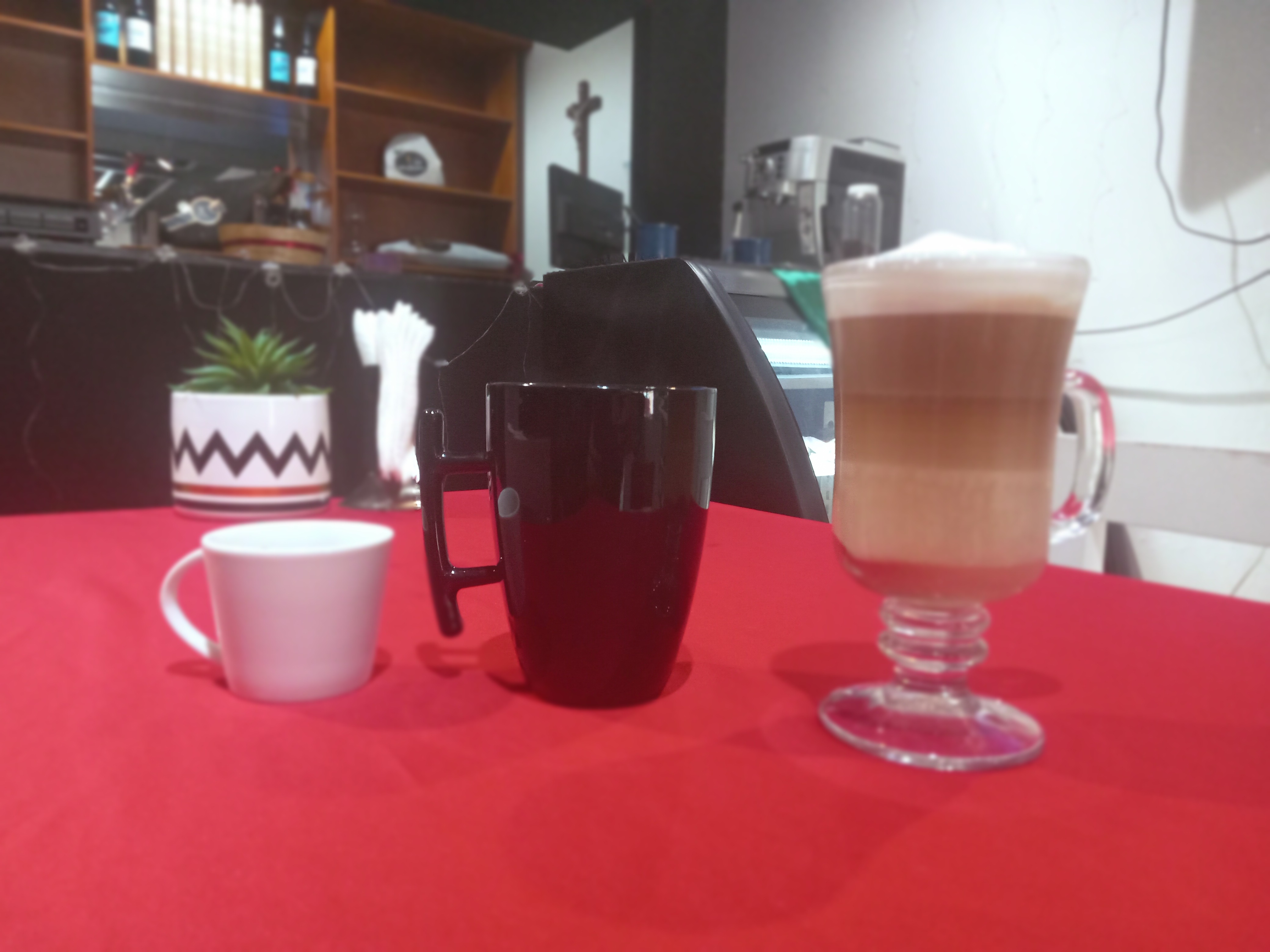 El Olivo Restaurant Gourmet image 5