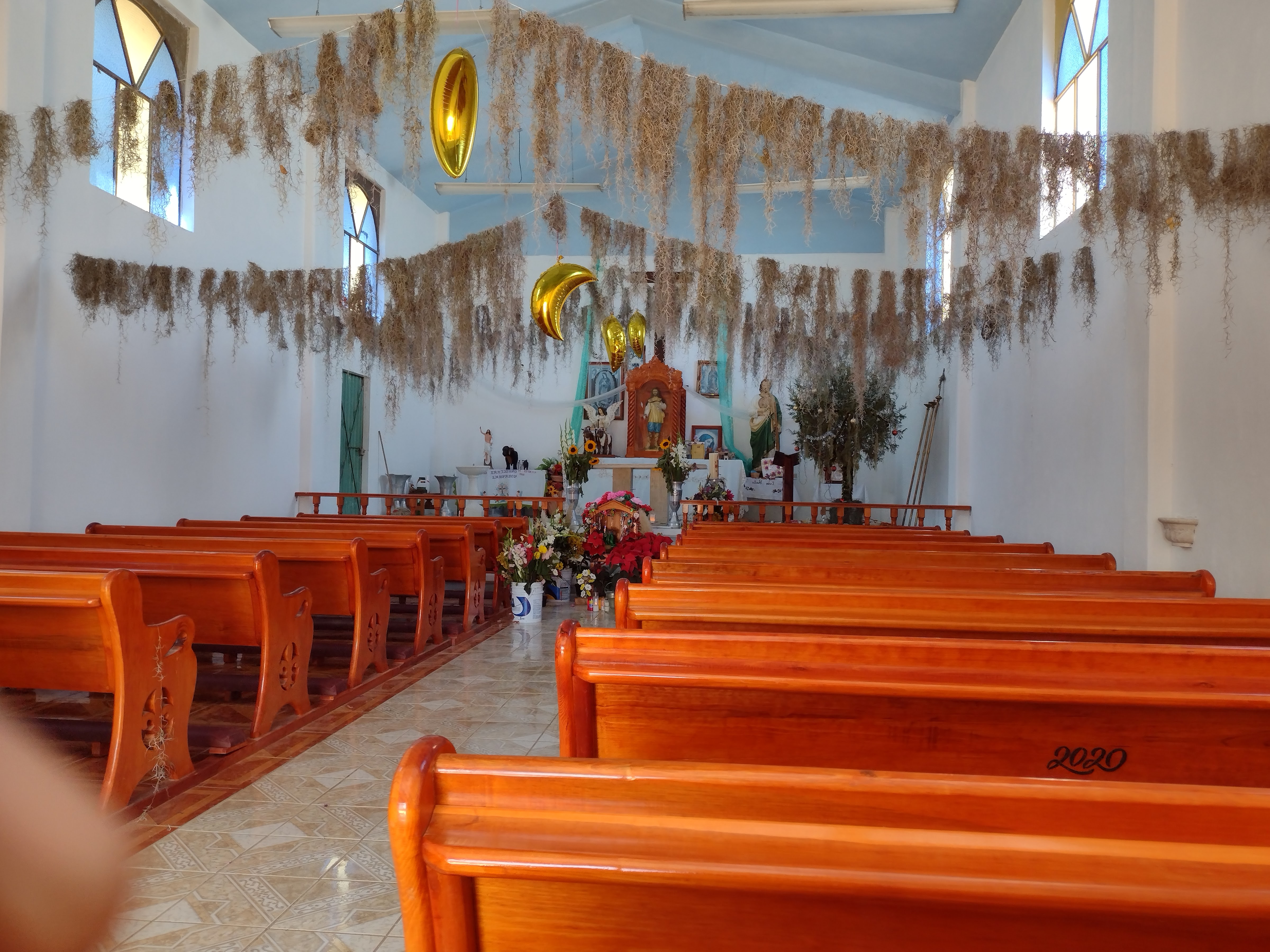 Zason de Oaxaca image 1