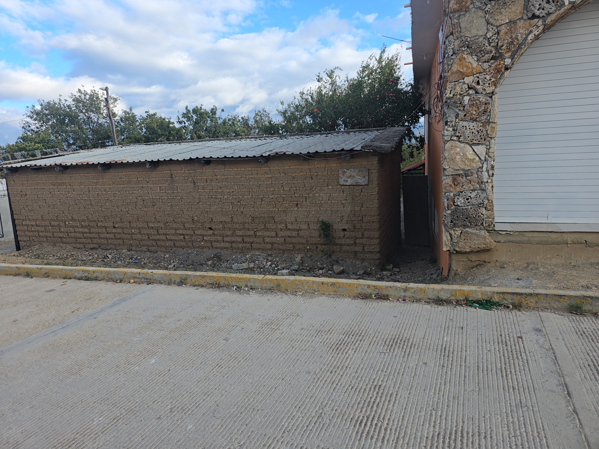 Zason de Oaxaca image 4