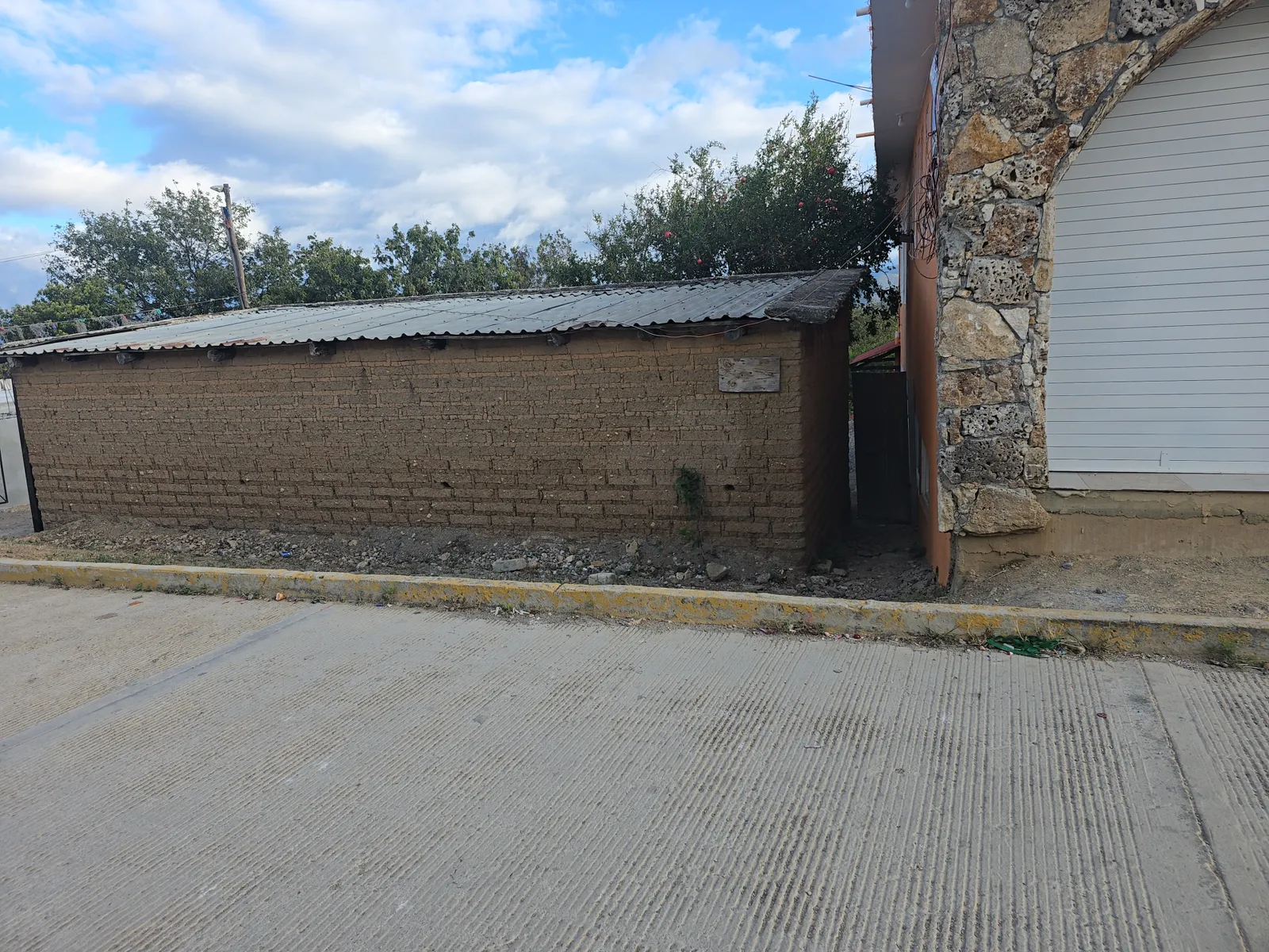 Zason de Oaxaca image 4