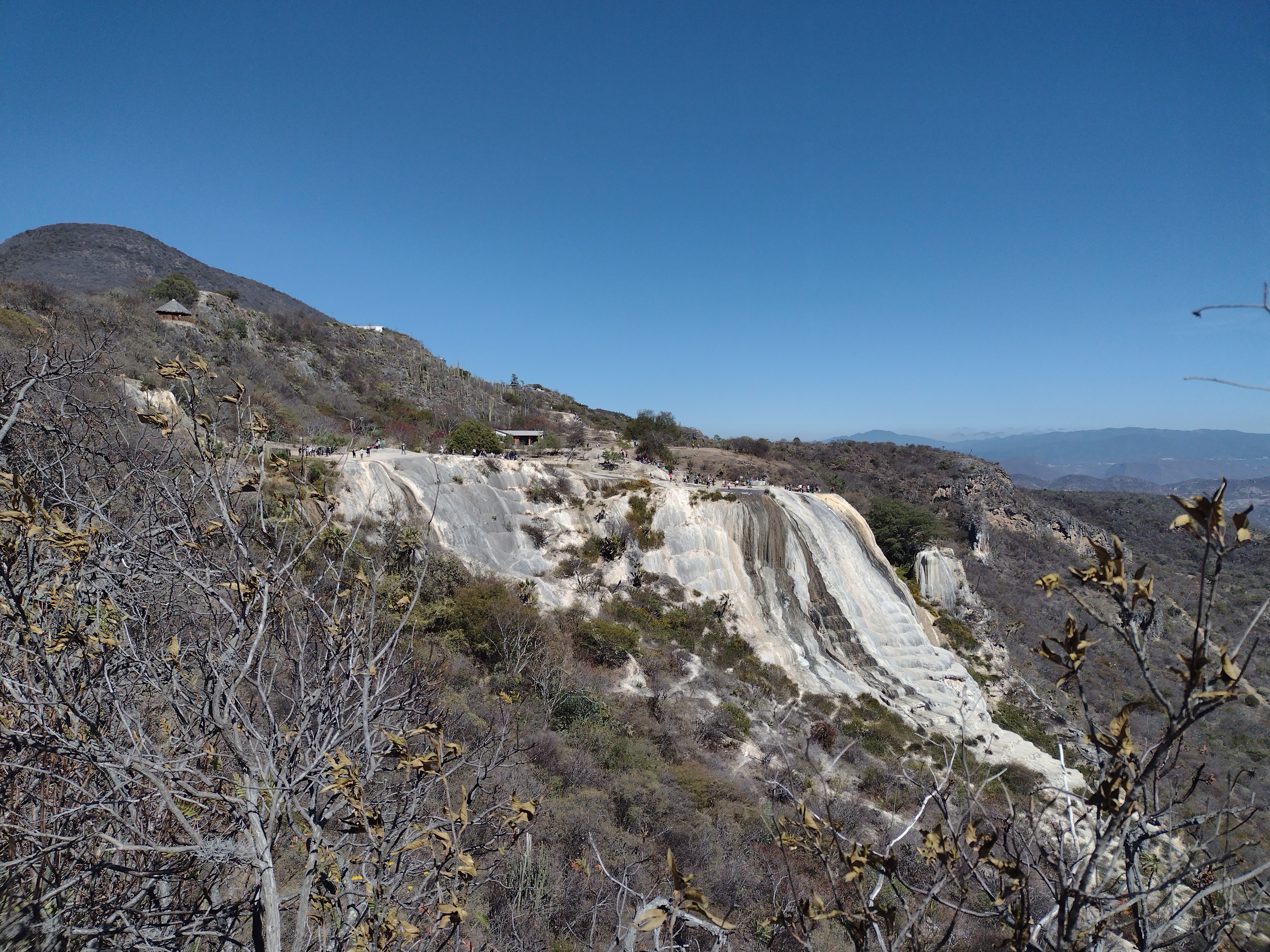 Zason de Oaxaca image 5