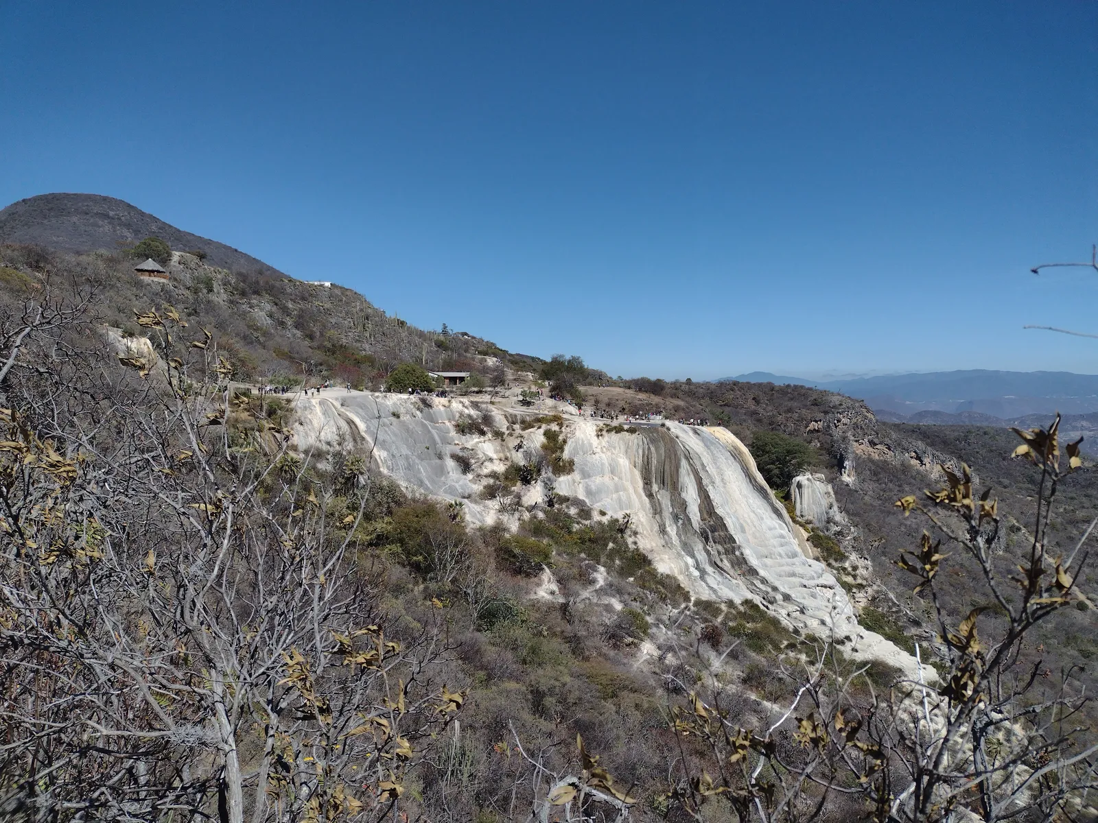 Zason de Oaxaca image 5