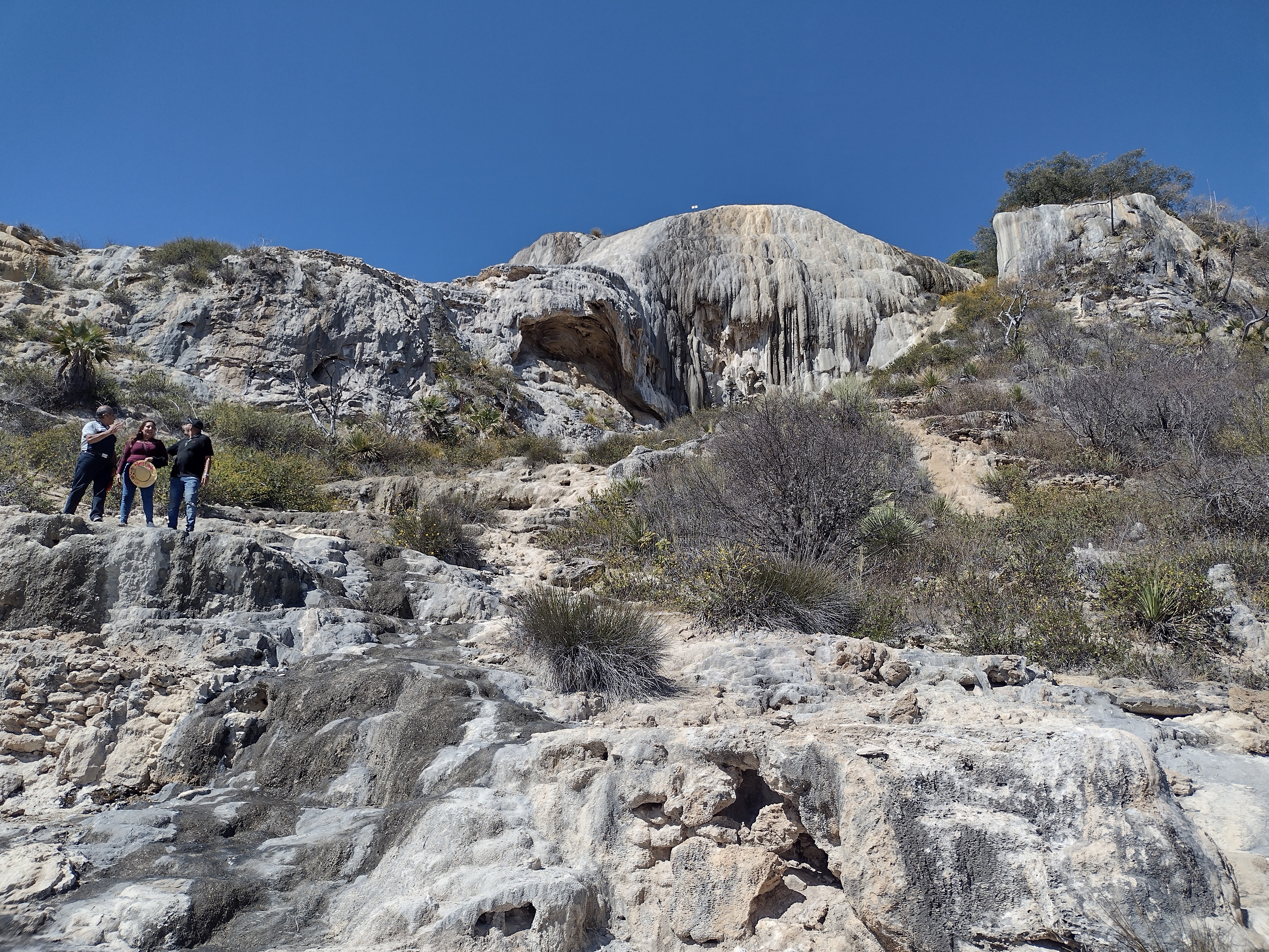 Zason de Oaxaca image 8