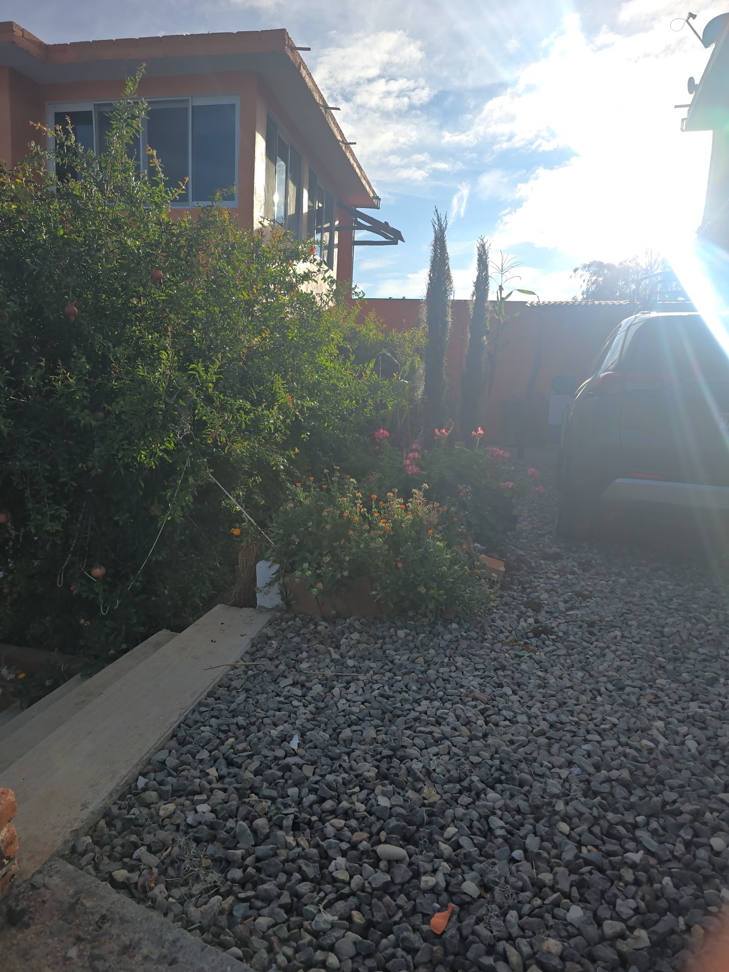 Zason de Oaxaca image 10